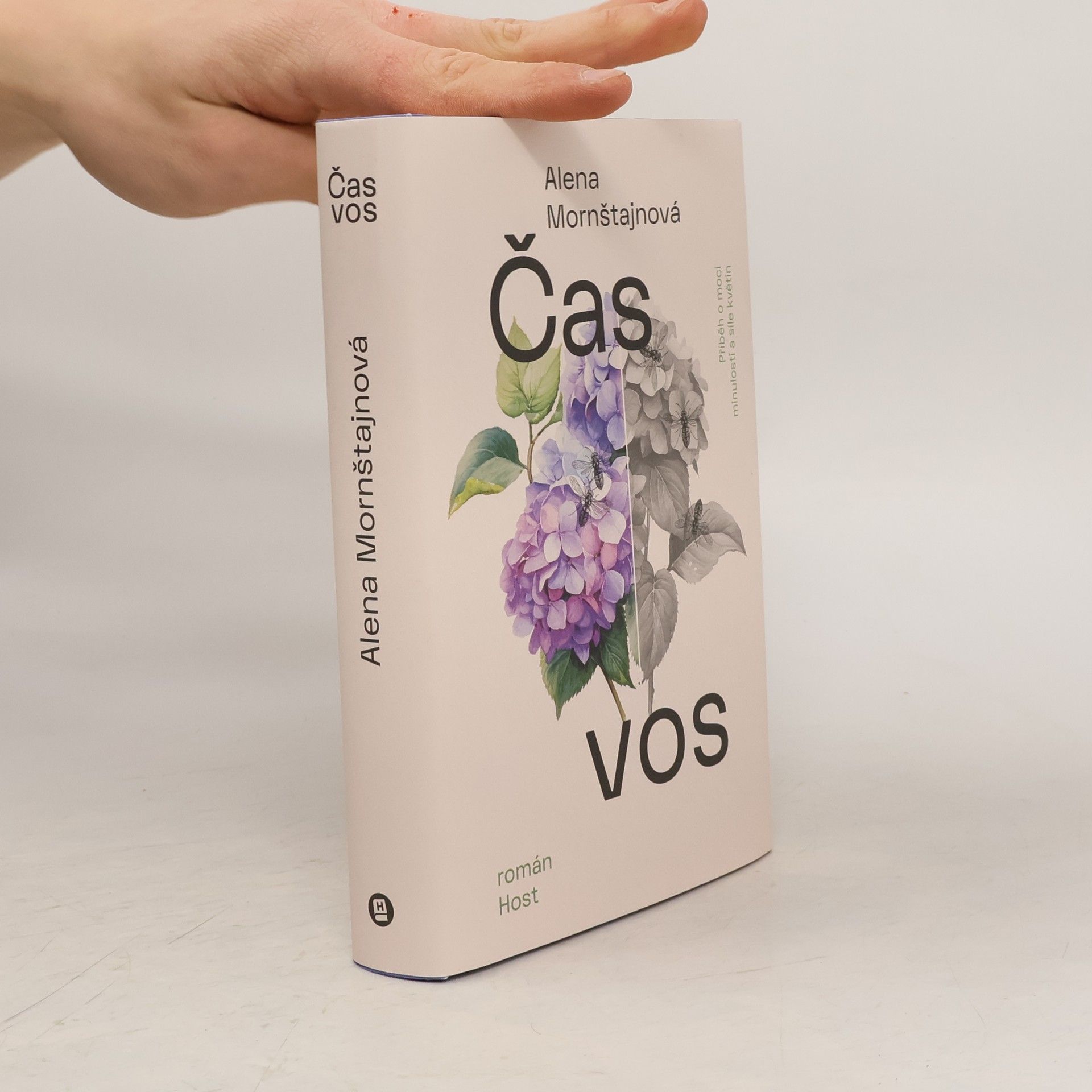 Alena Mornštajnová Čas vos