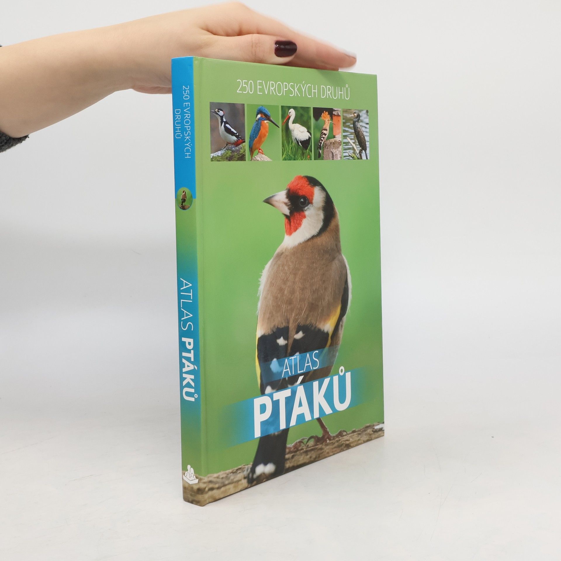Atlas ptáků : 250 evropských druhů