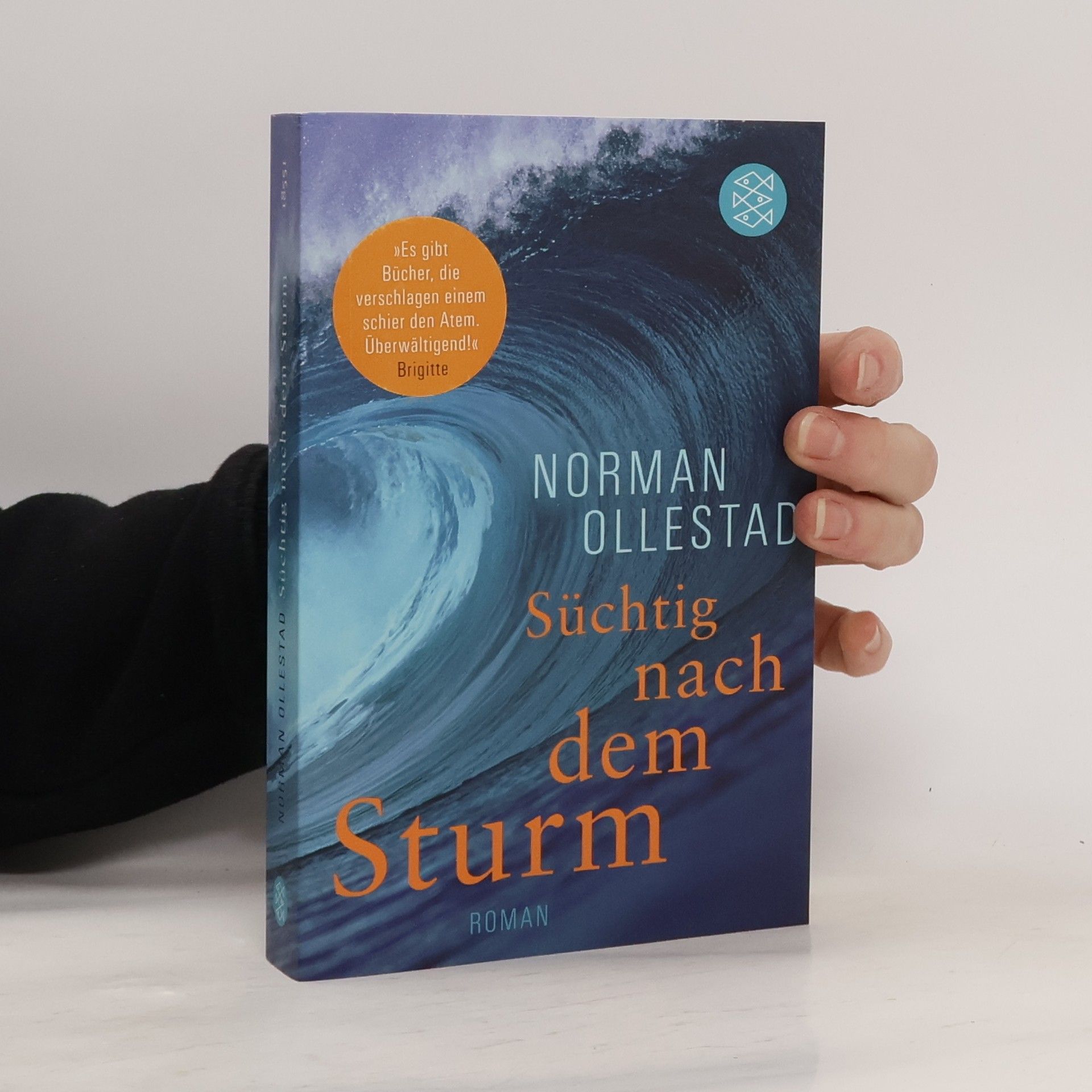 Norman Ollestad Süchtig nach dem Sturm
