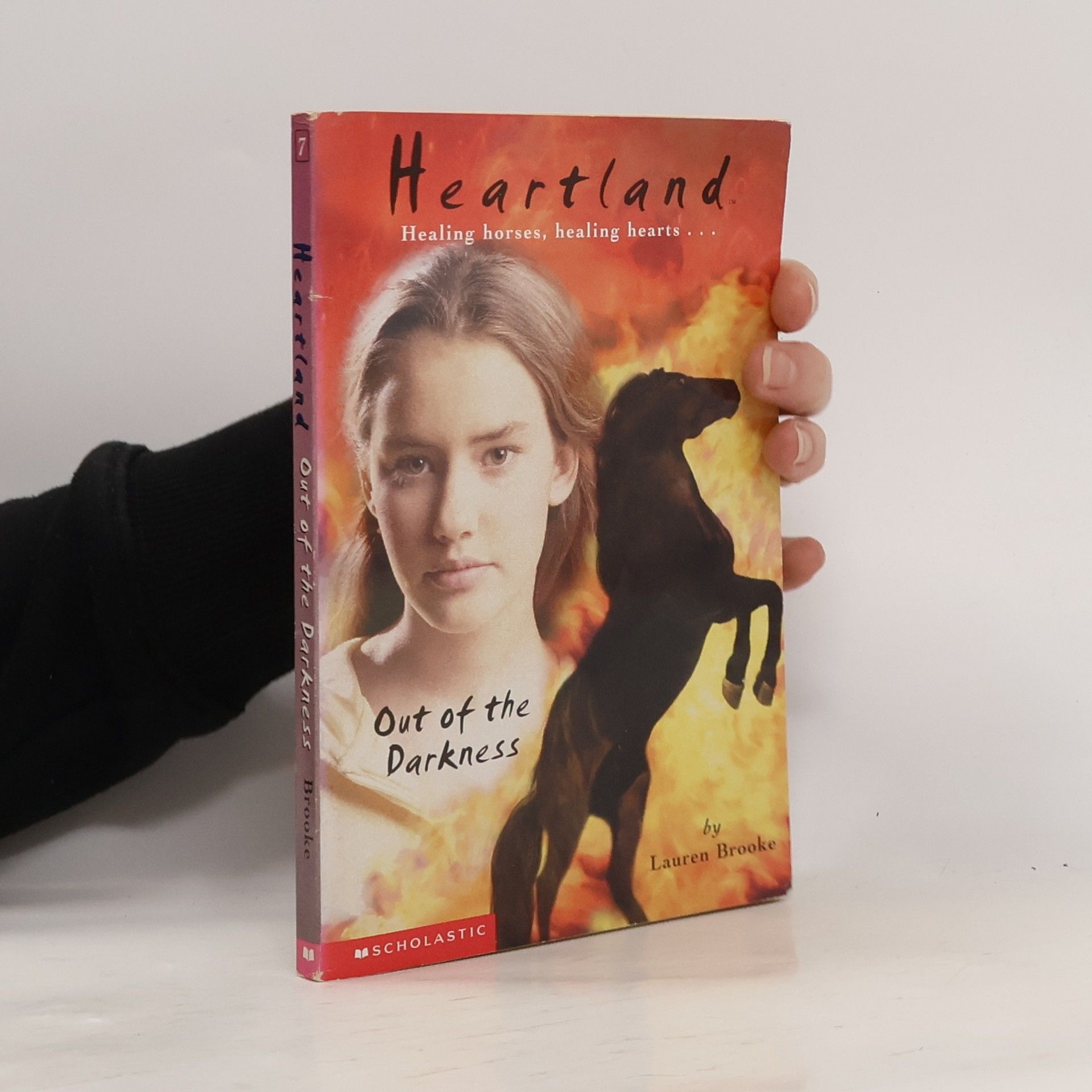 Lauren Brooke Out of the Darkness