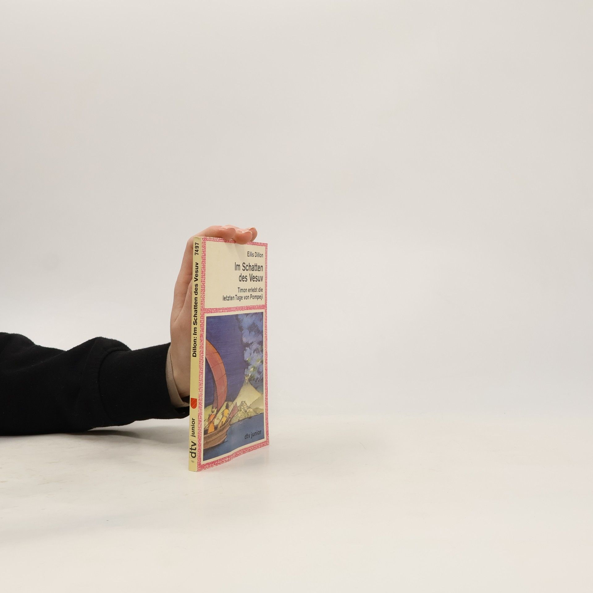 Im Schatten des Vesuv