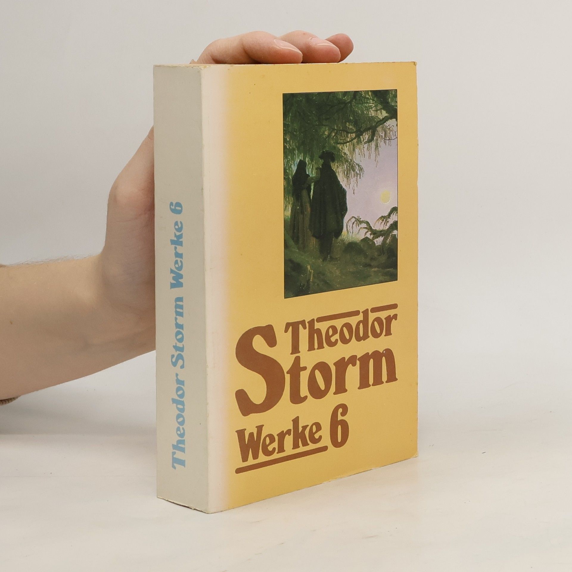 Theodor Storm Theodor Storm Werke 6