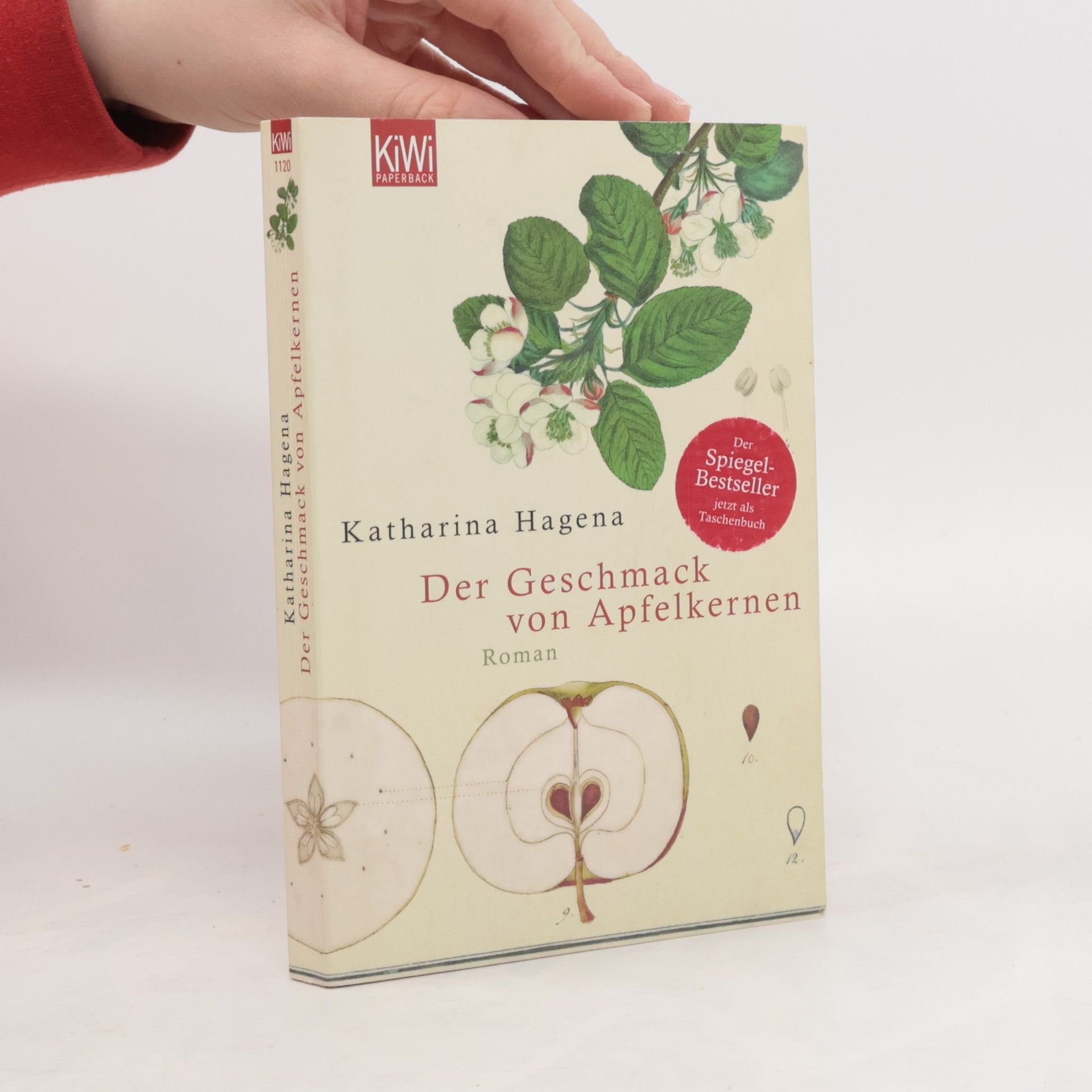Katharina Hagena Der Geschmack von Apfelkernen