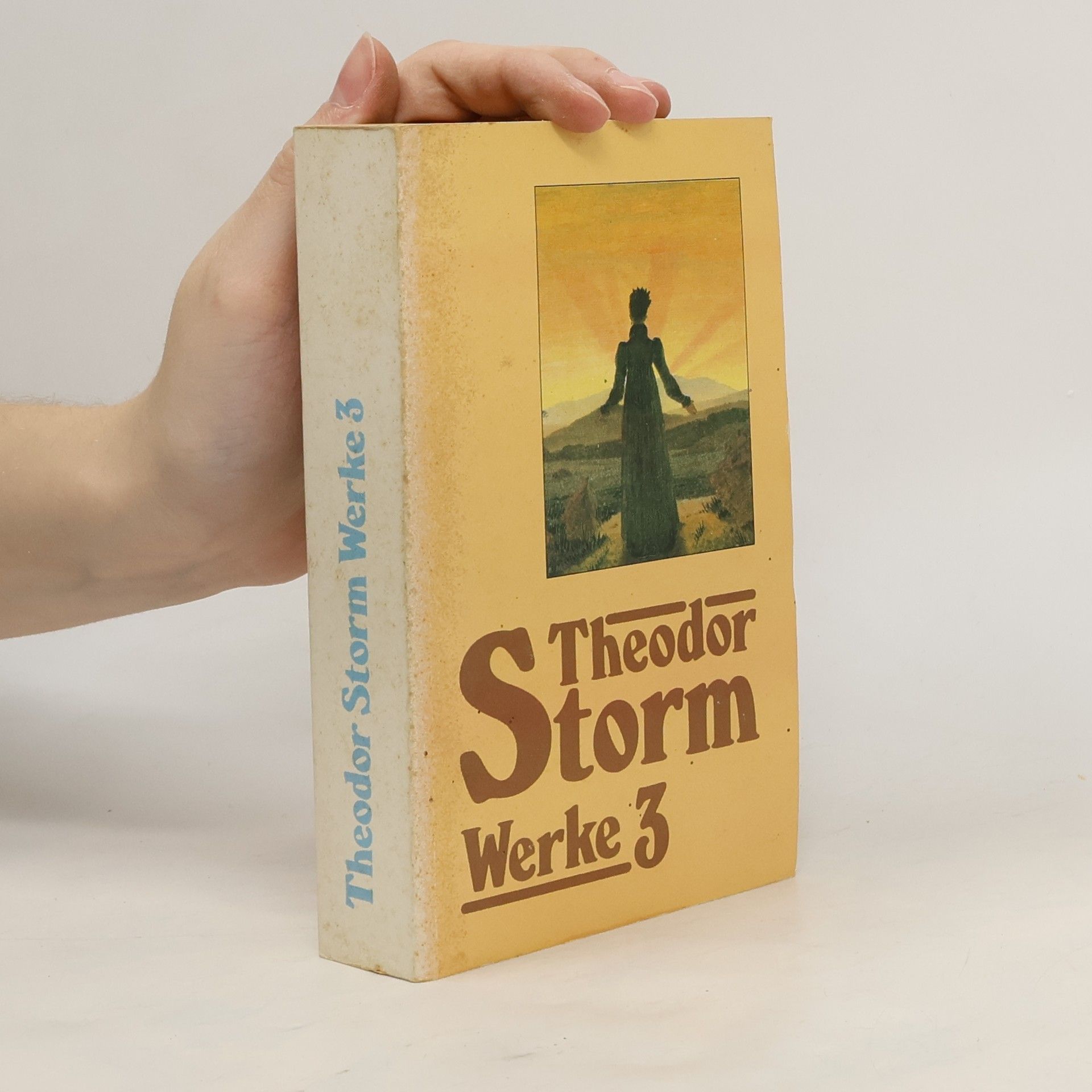 Theodor Storm Theodor Storm Werke 3