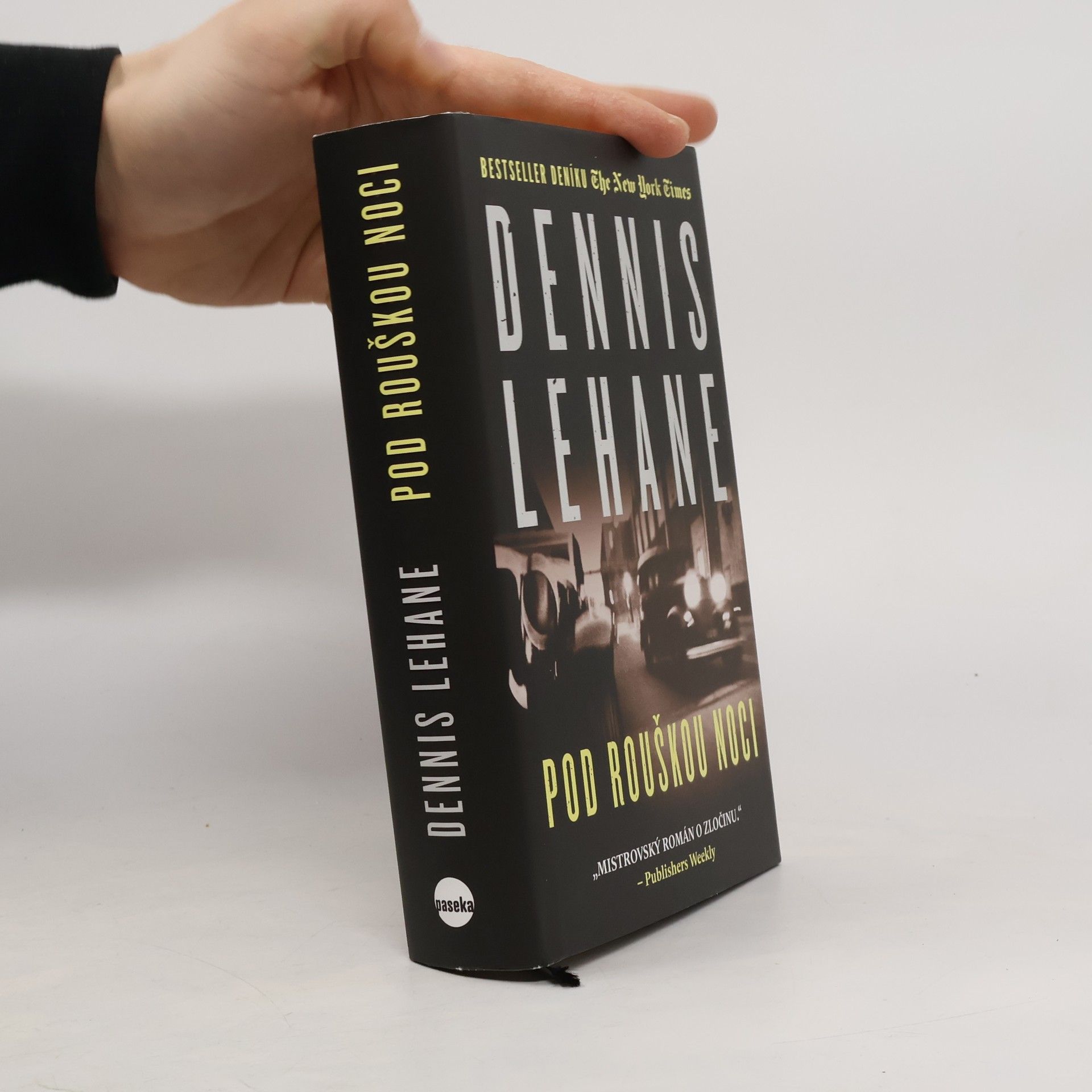 Dennis Lehane Pod rouškou noci