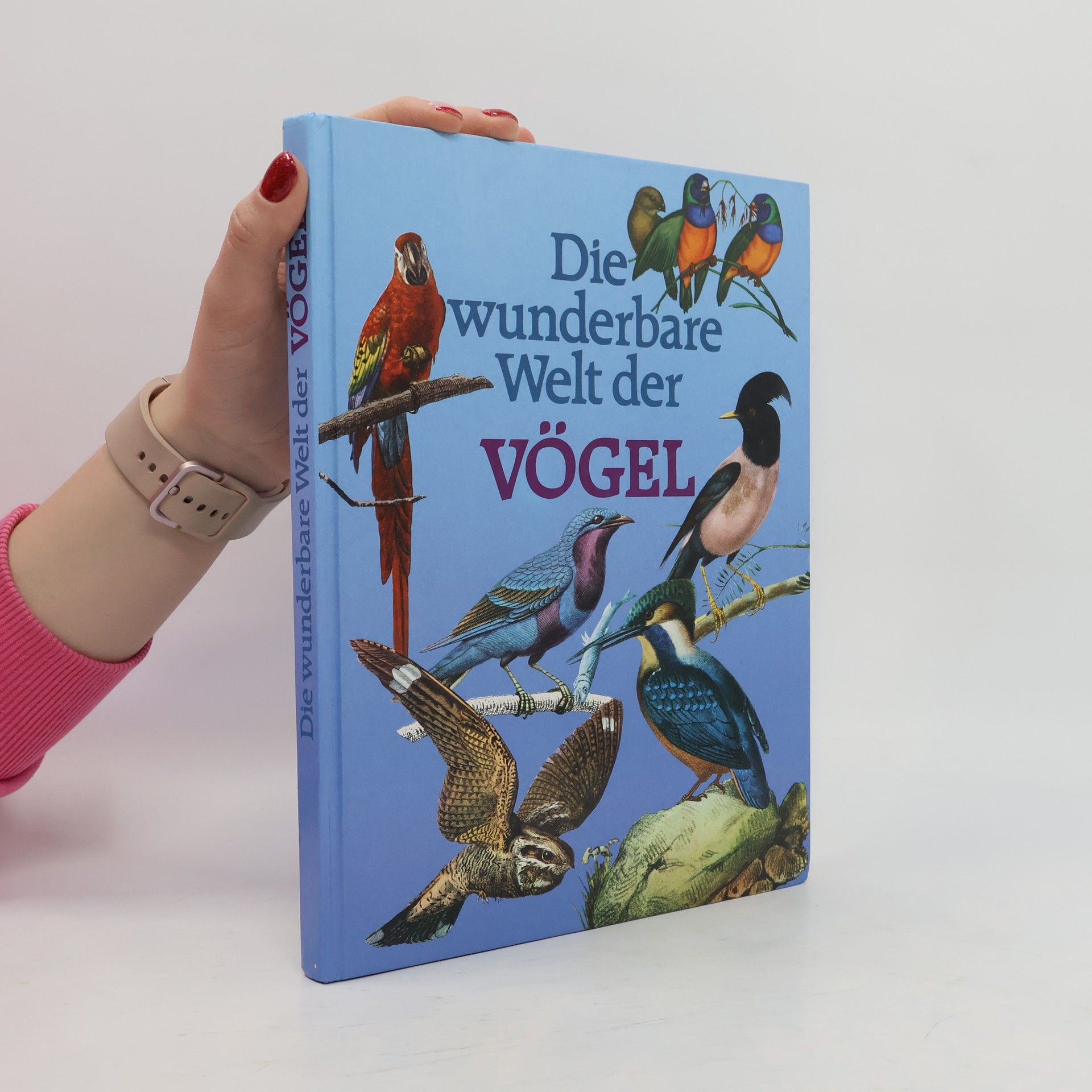 Autores varios Die wunderbare Welt der Vögel