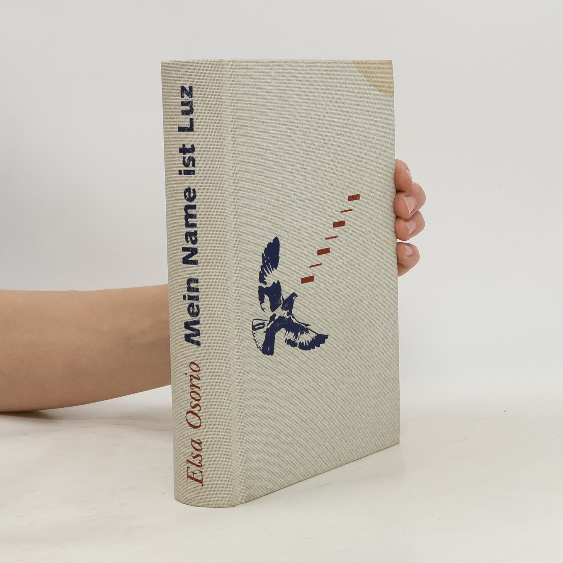 Elsa Osorio Mein Name ist Luz