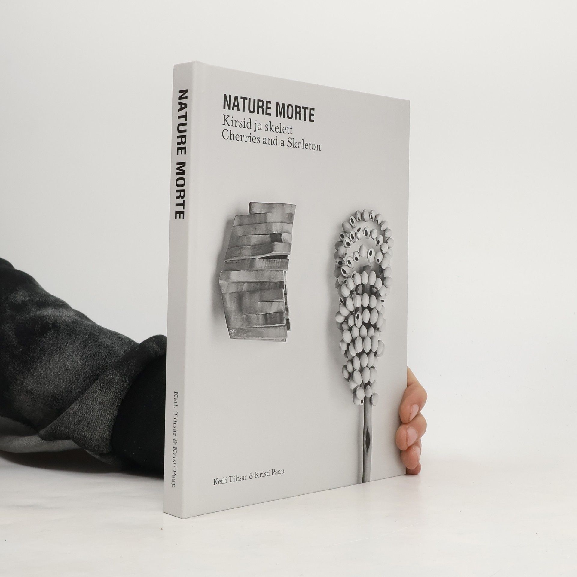 Ketli Tiitsar Nature Morte