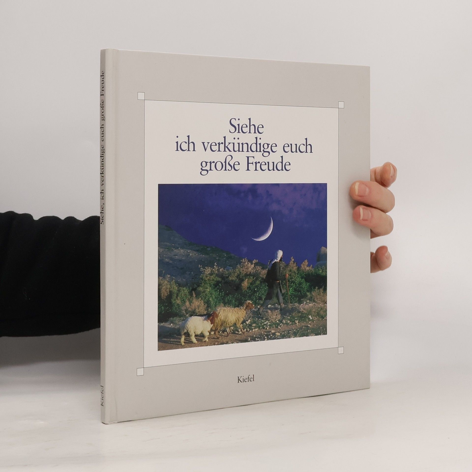 Kolektiv autorů Siehe, ich verkündige euch grosse Freude