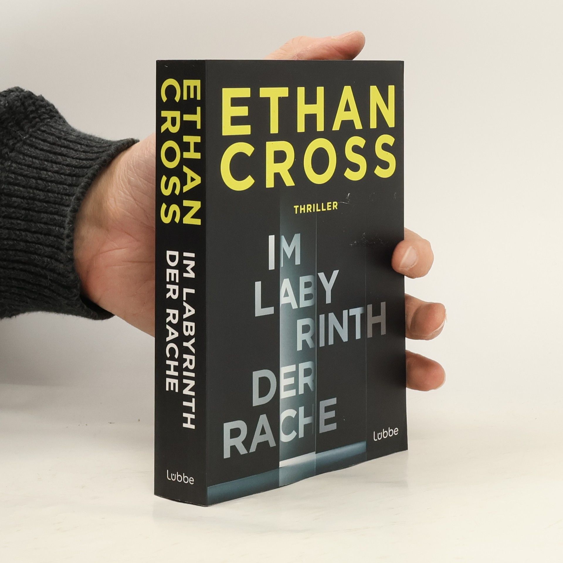 Ethan Cross Im Labyrinth der Rache. Thriller