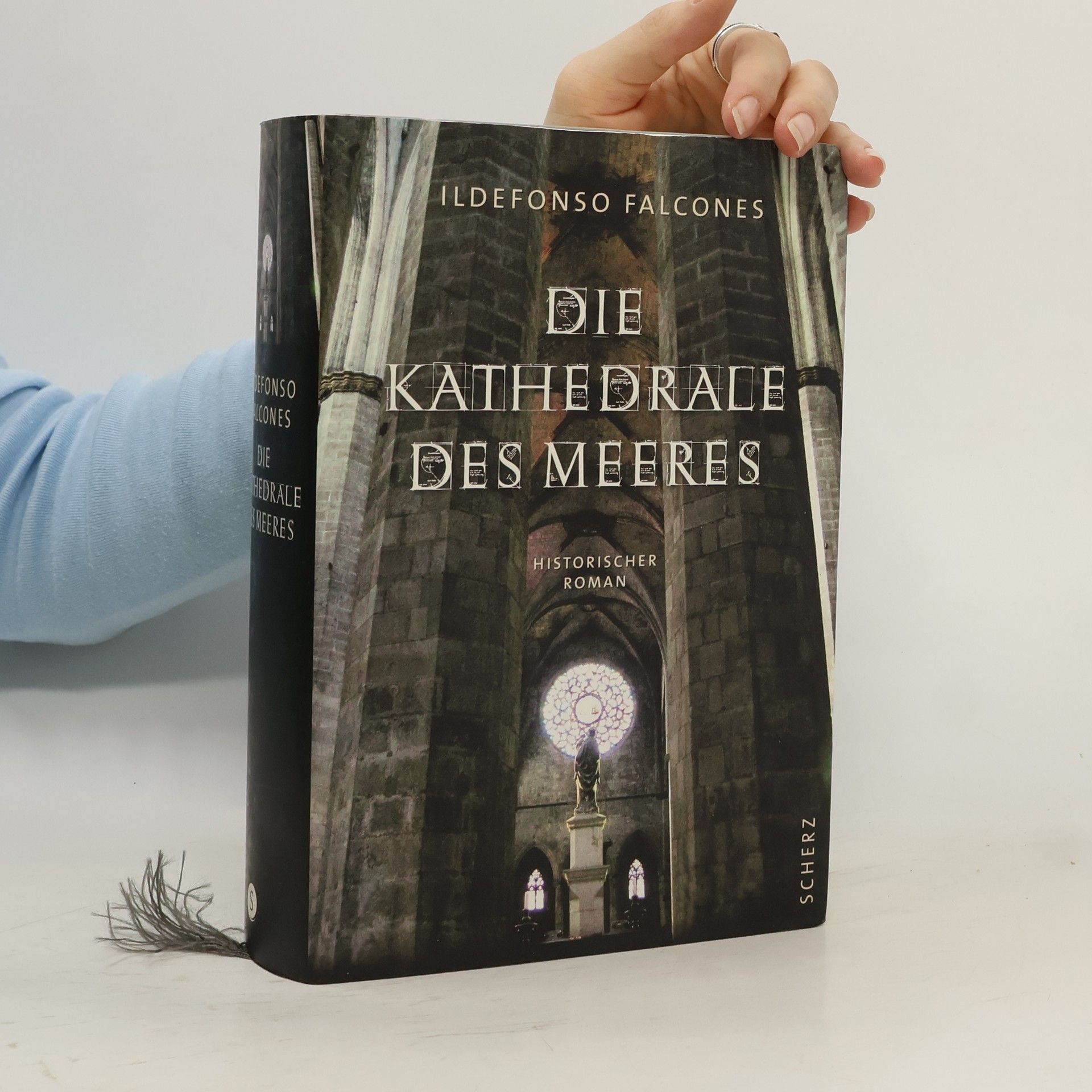 Ildefonso Falcones Die Kathedrale des Meeres