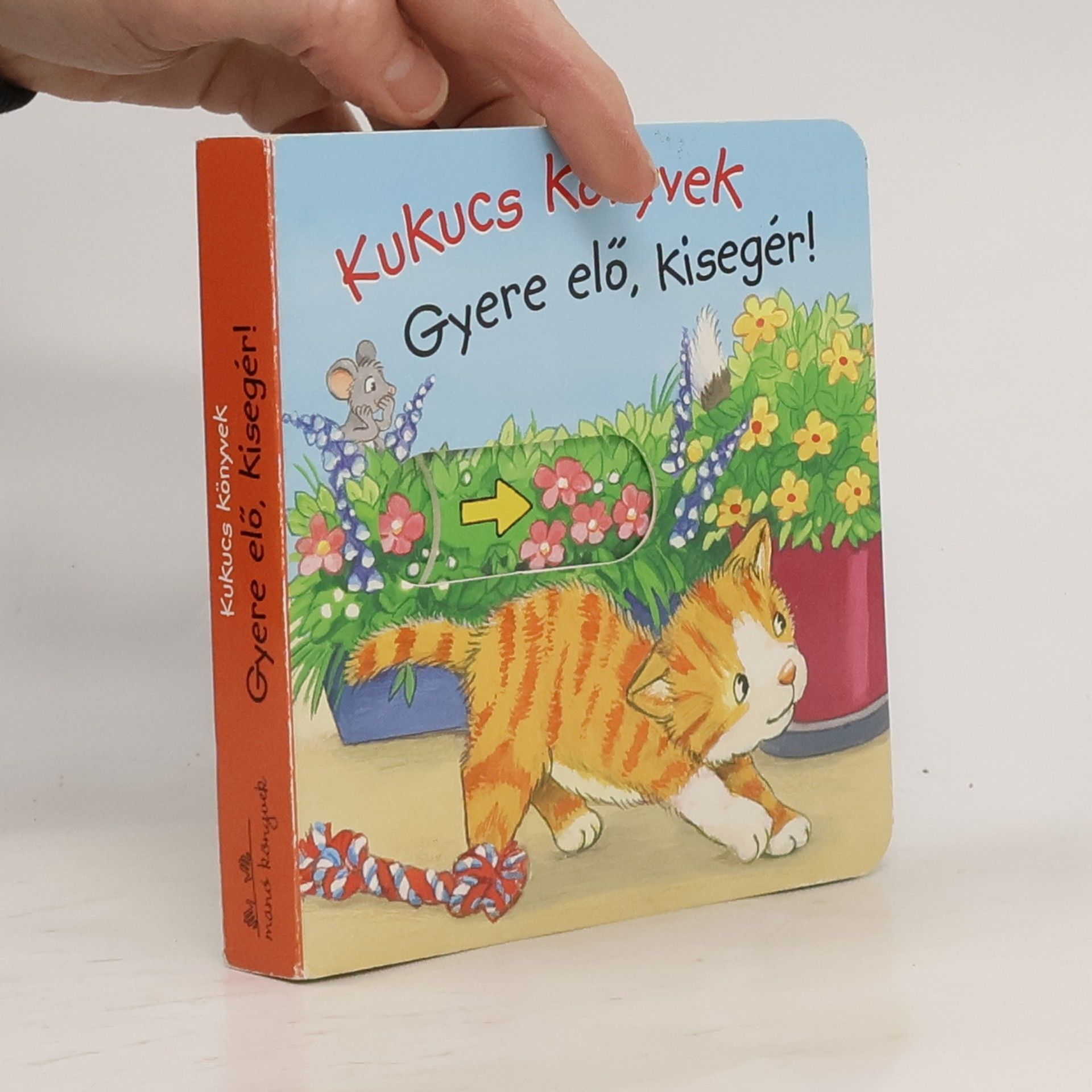 Antje Flad Kukucs könyvek - Gyere elő kisegér!