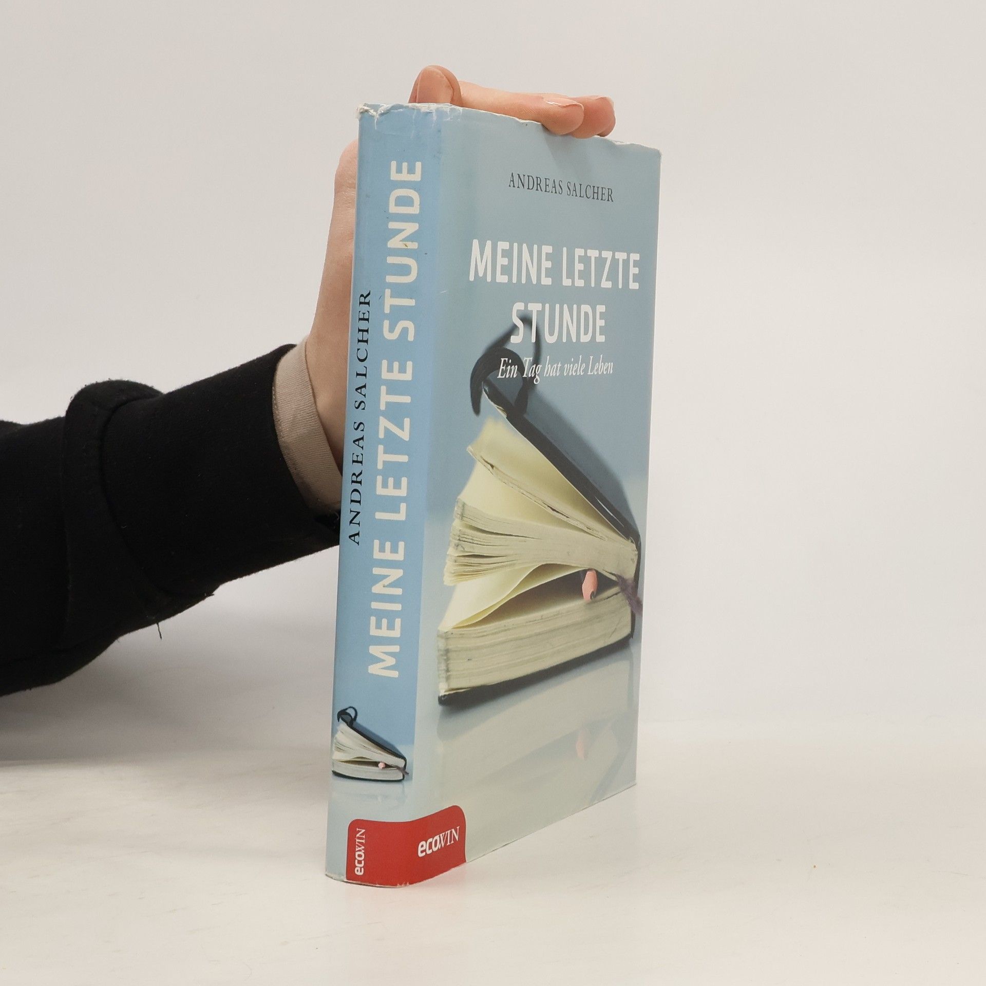 Andreas Salcher Meine letzte Stunde