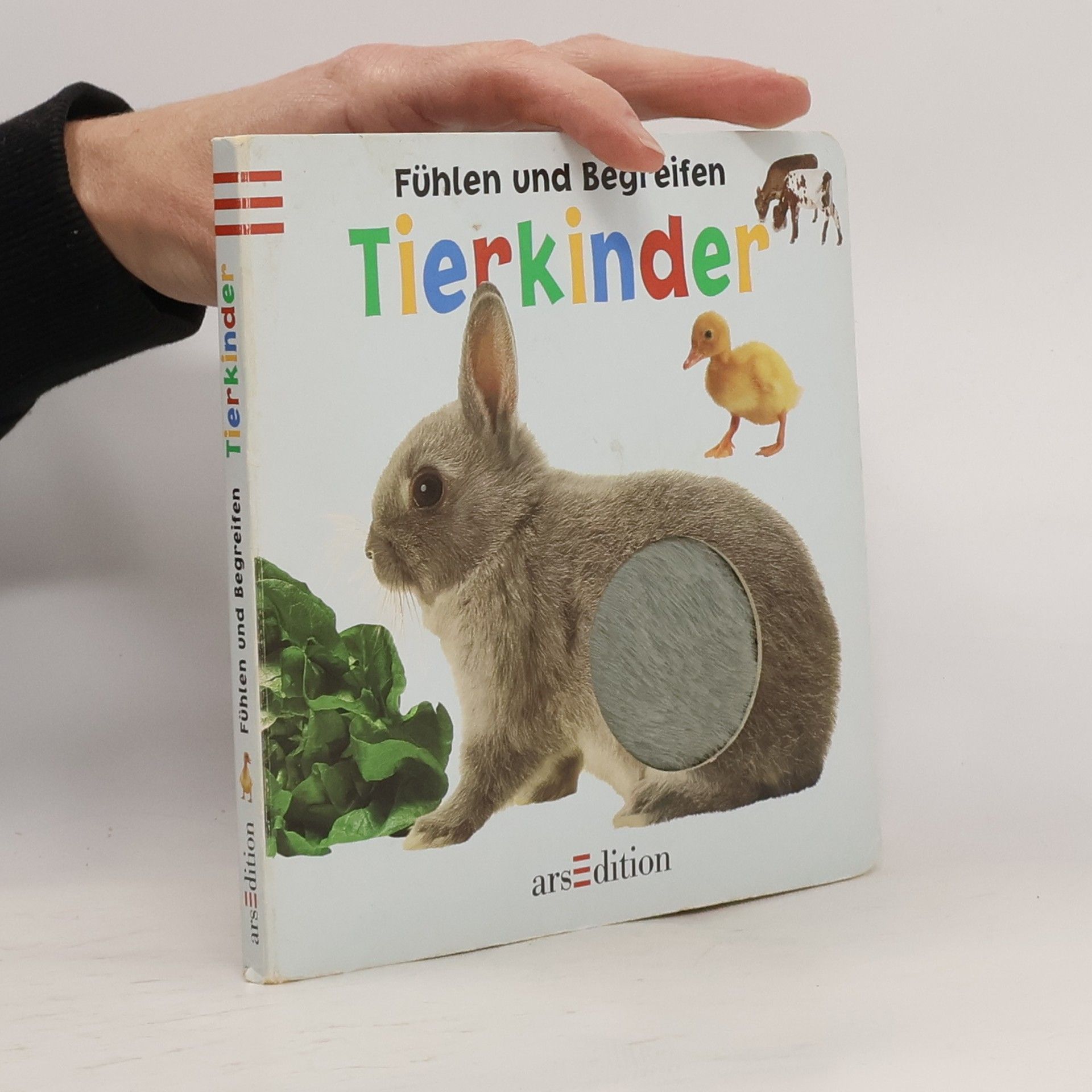 Daniela Filthaut Tierkinder