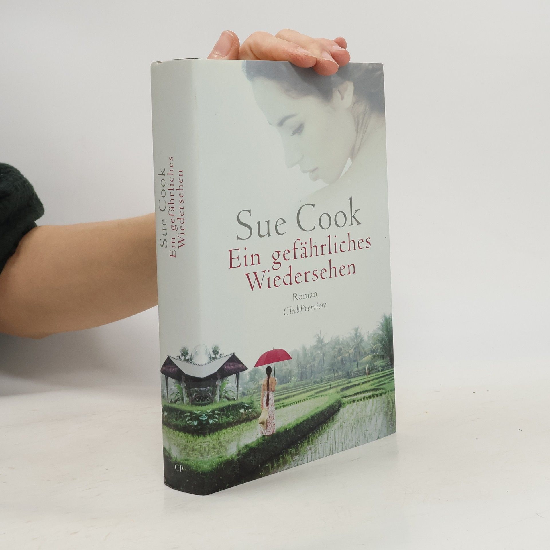 Sue Cook Ein gefährliches Wiedersehen
