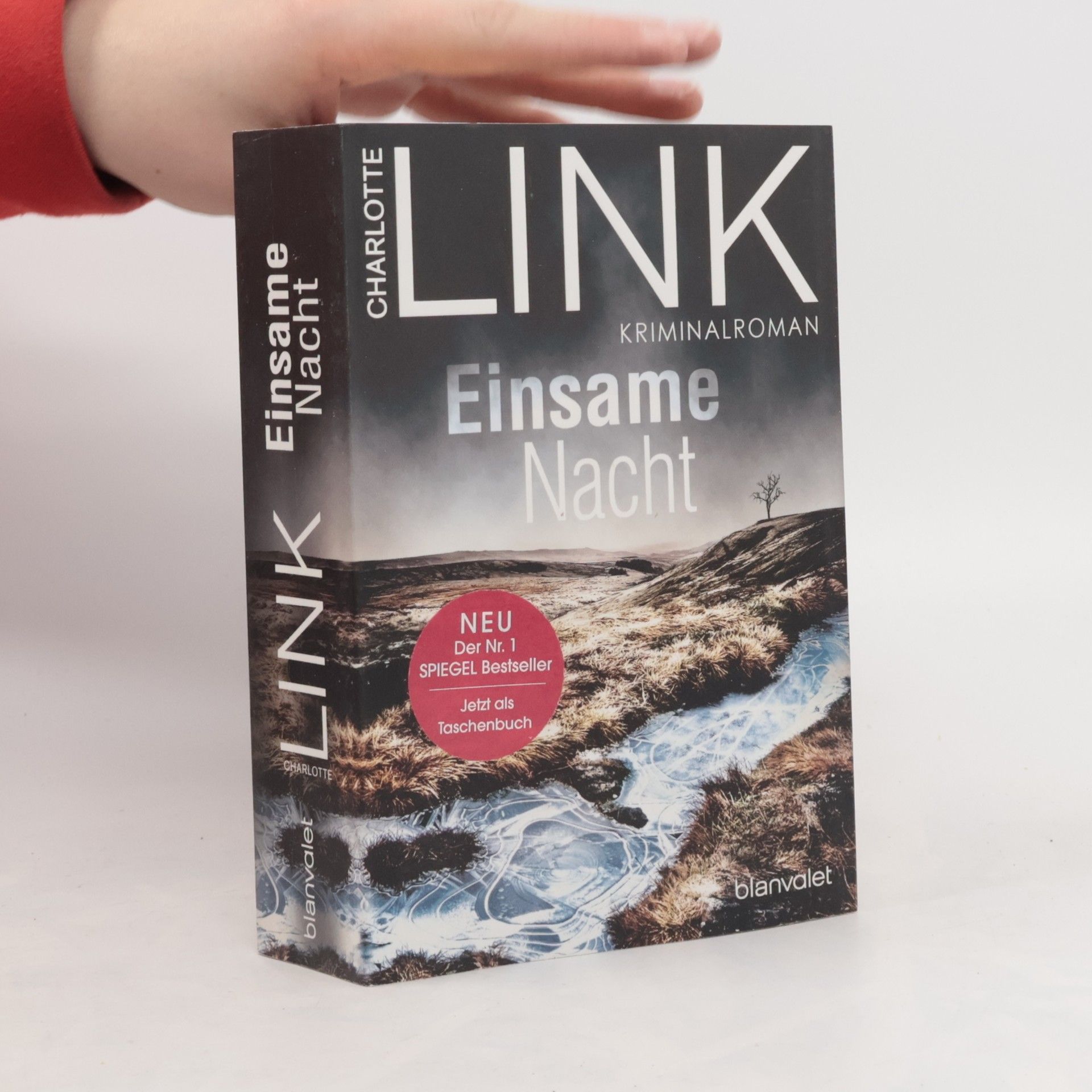 Charlotte Link Einsame Nacht