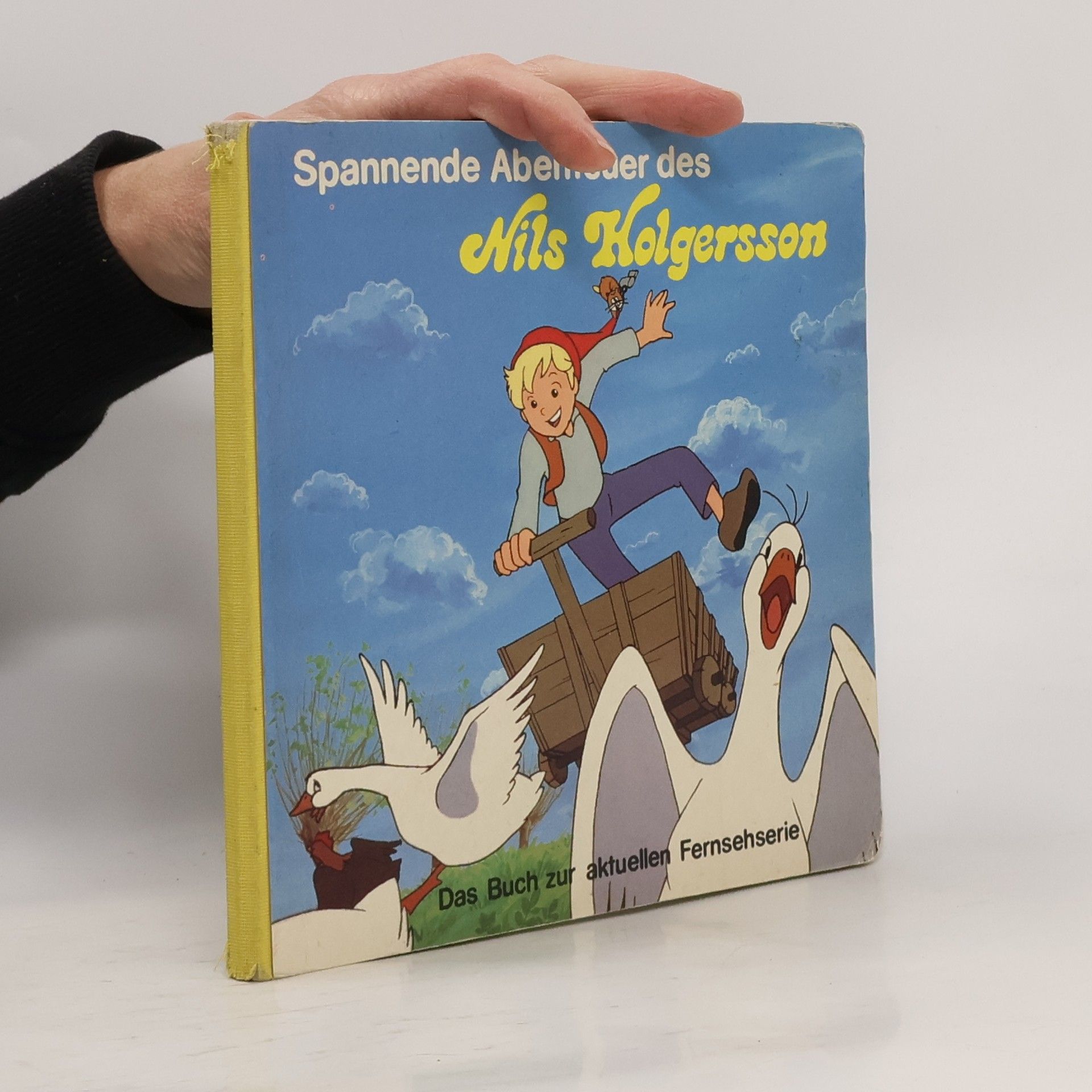 Auteurscollectief Spannende Abenteuer des Nils Holgersson