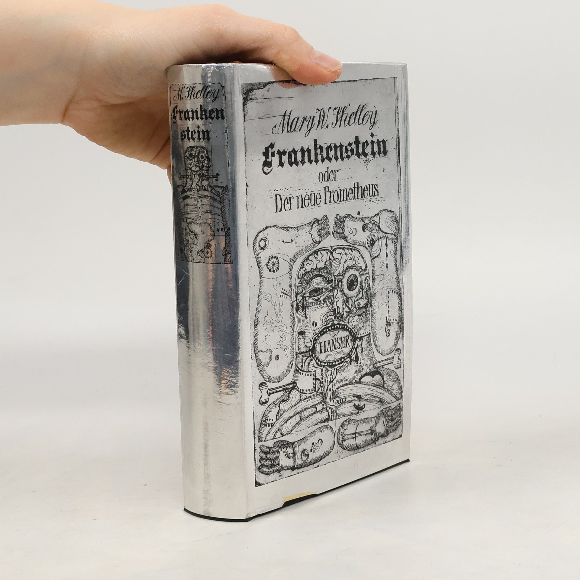 Mary Shelley Frankenstein oder der neue Prometheus