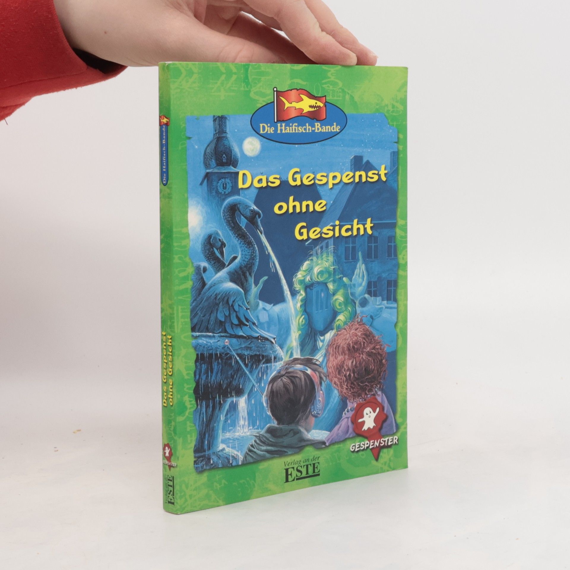 Ursula Flacke Das Gespenst ohne Gesicht