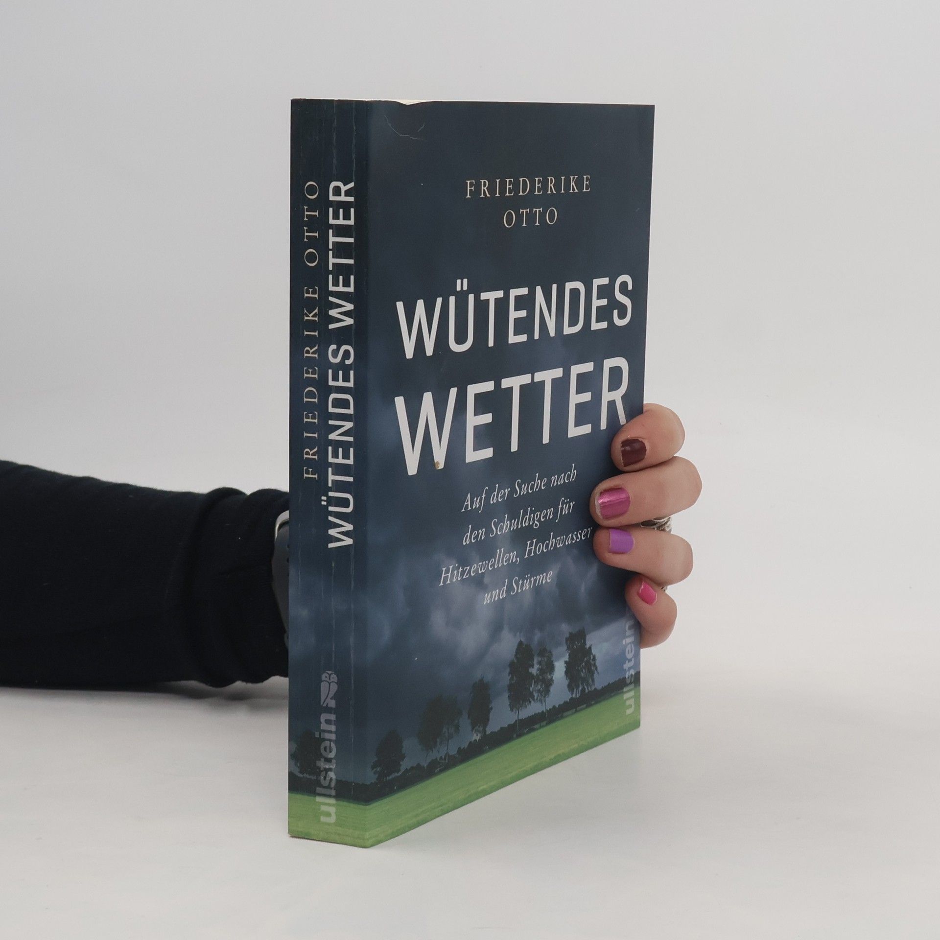 Friederike Otto Wütendes Wetter