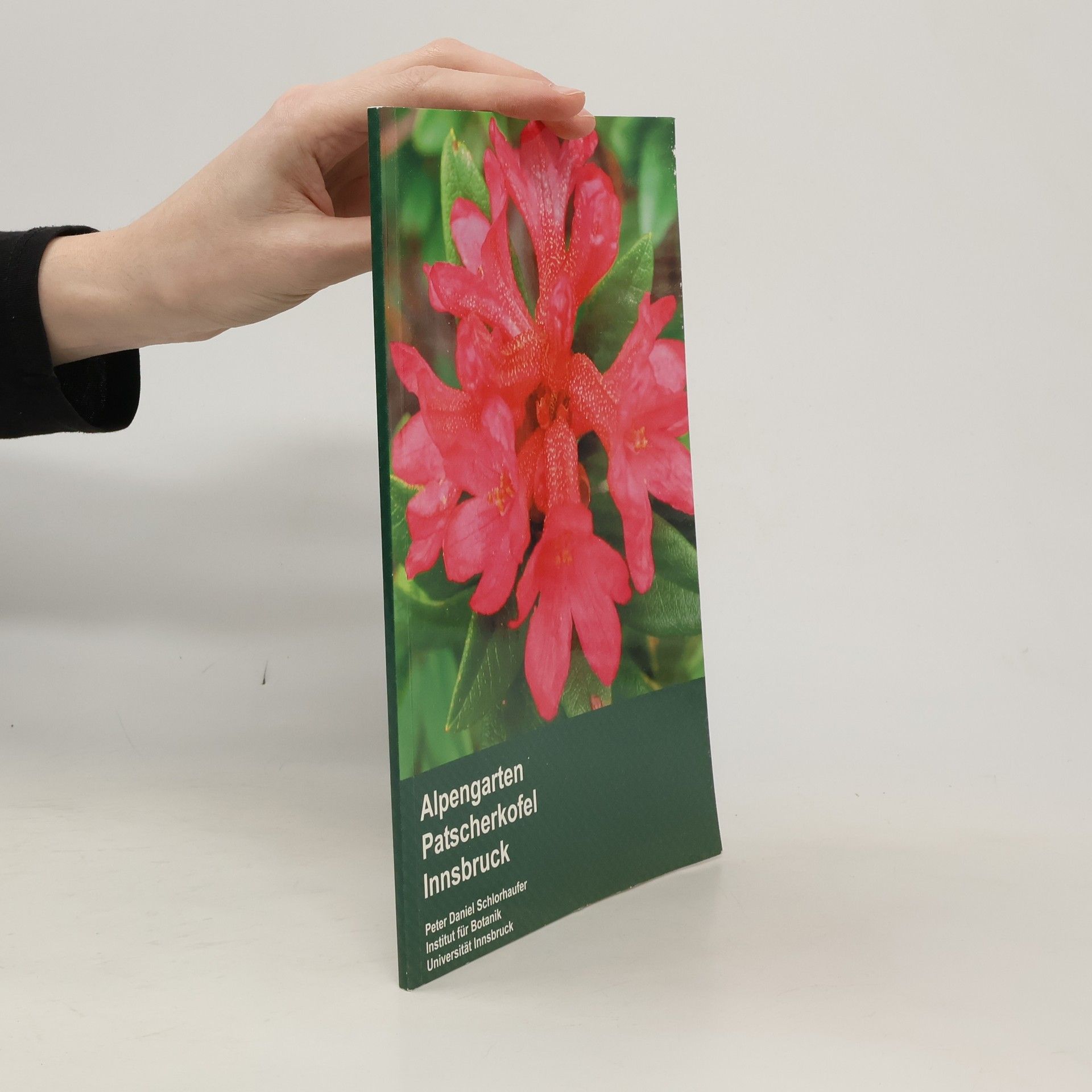 Peter Daniel Schlorhaufer Alpengarten Patscherkofel Innsbruck