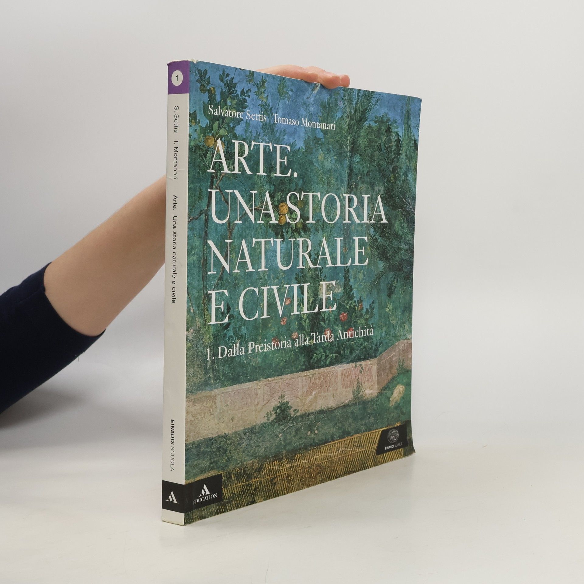 Arte. Una storia naturale e civile