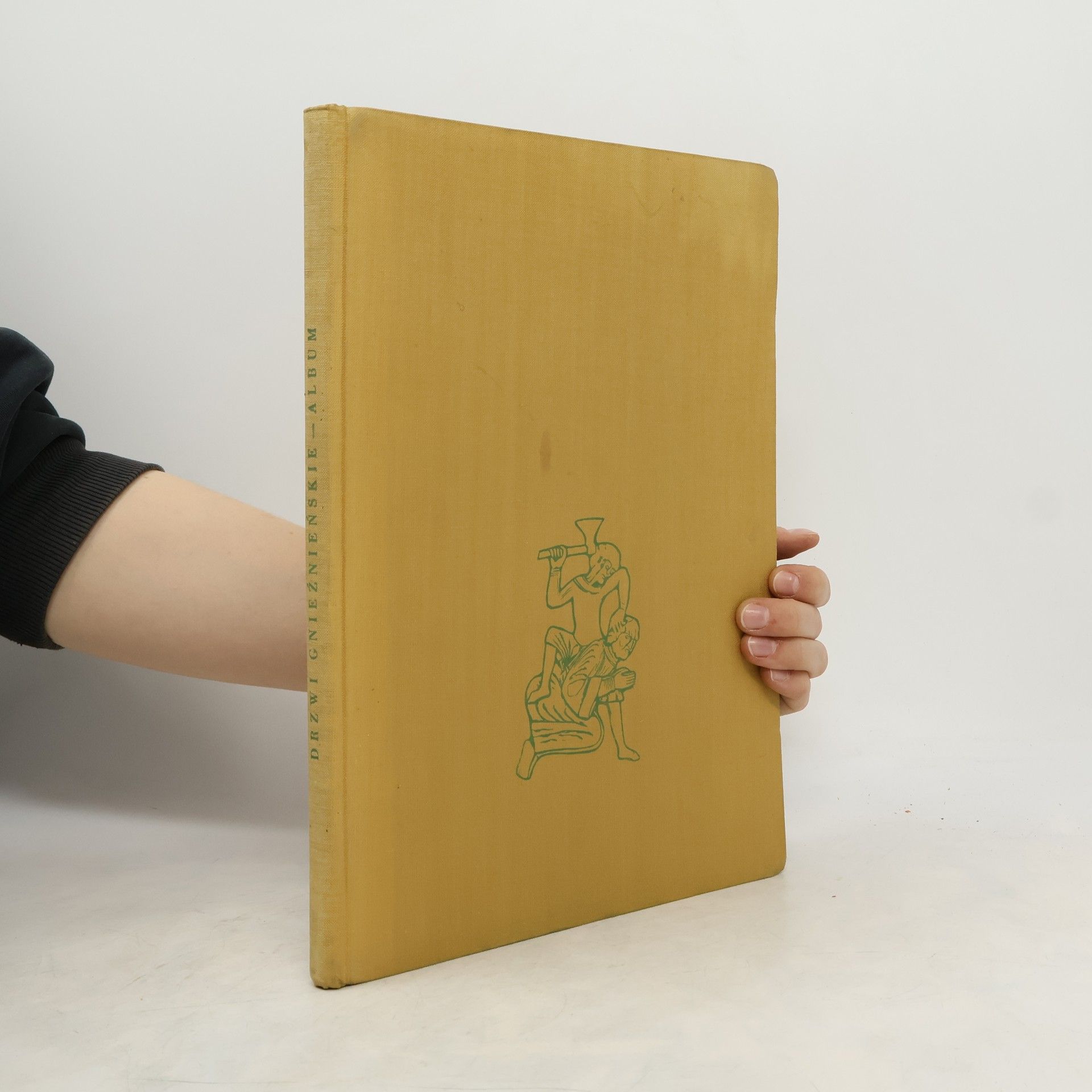 Drzwi gnieźnieńskie. Album