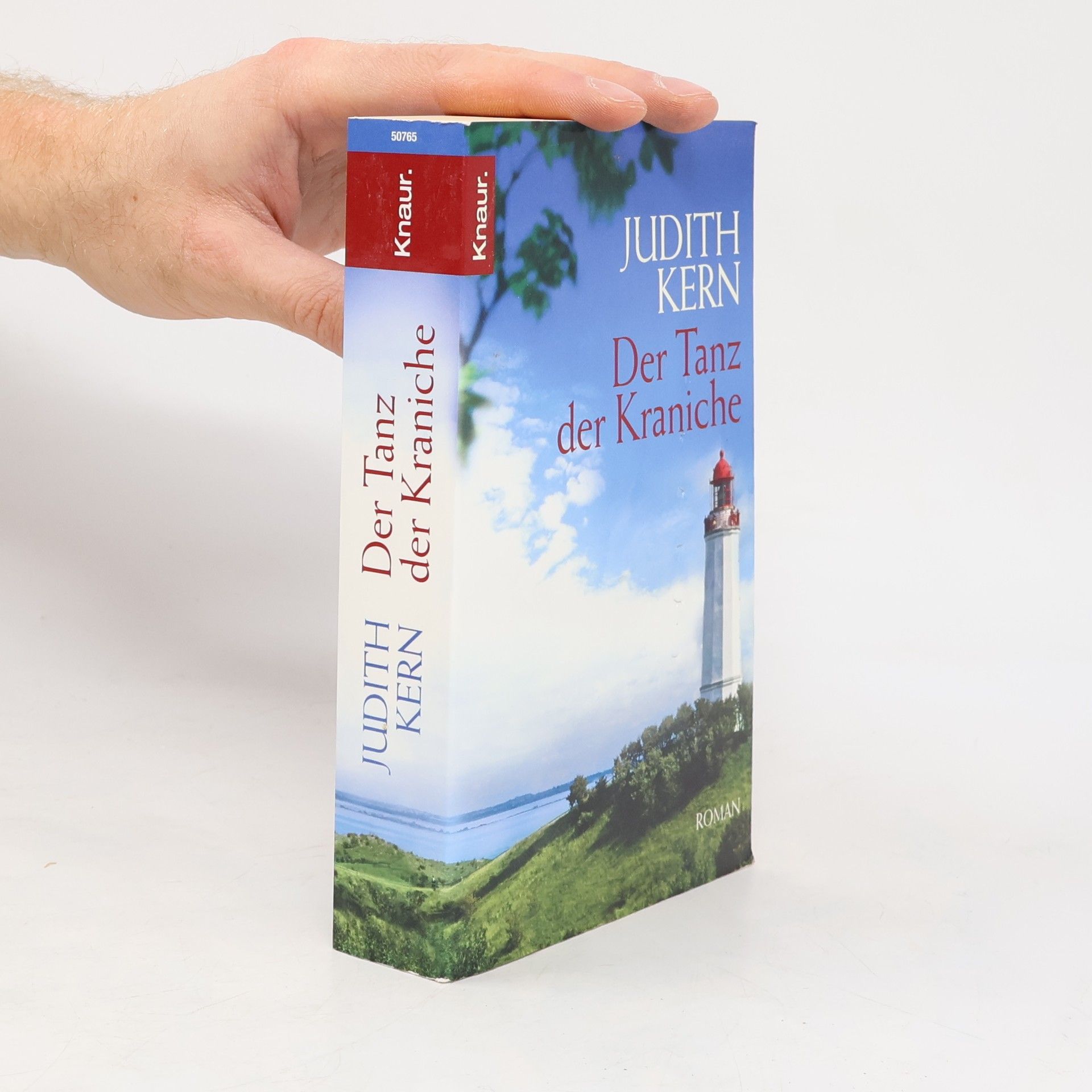 Judith Kern Der Tanz der Kraniche