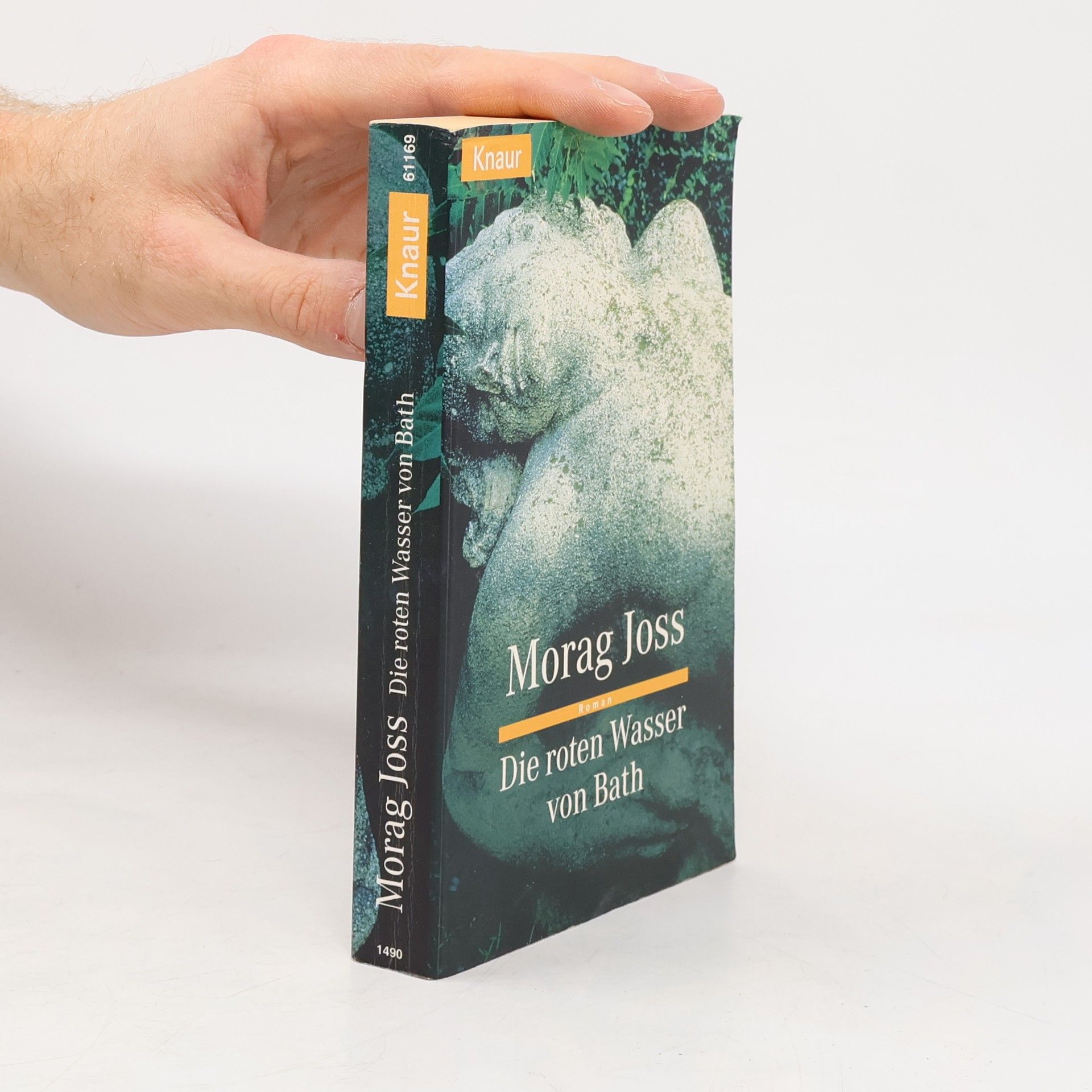 Morag Joss Die roten Wasser von Bath