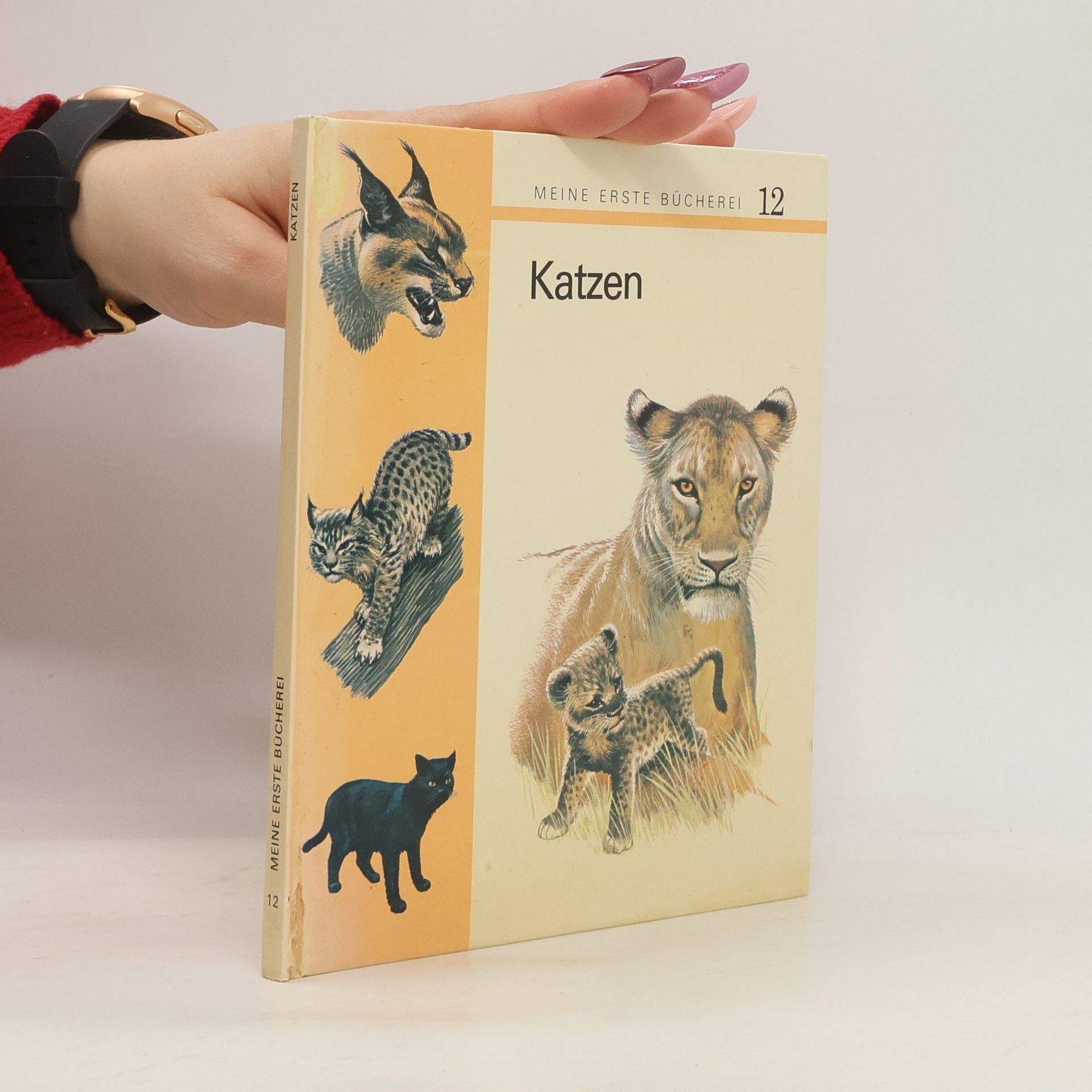 Autorenkollektiv Meine erste Bücherei 12. Katzen