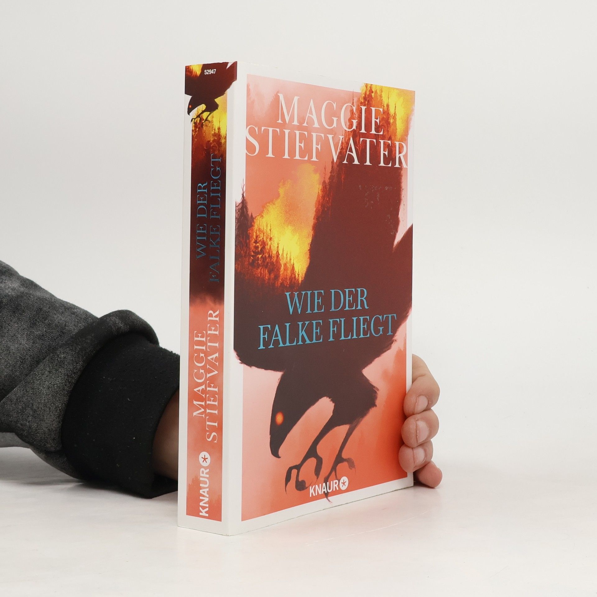 Wie der Falke fliegt