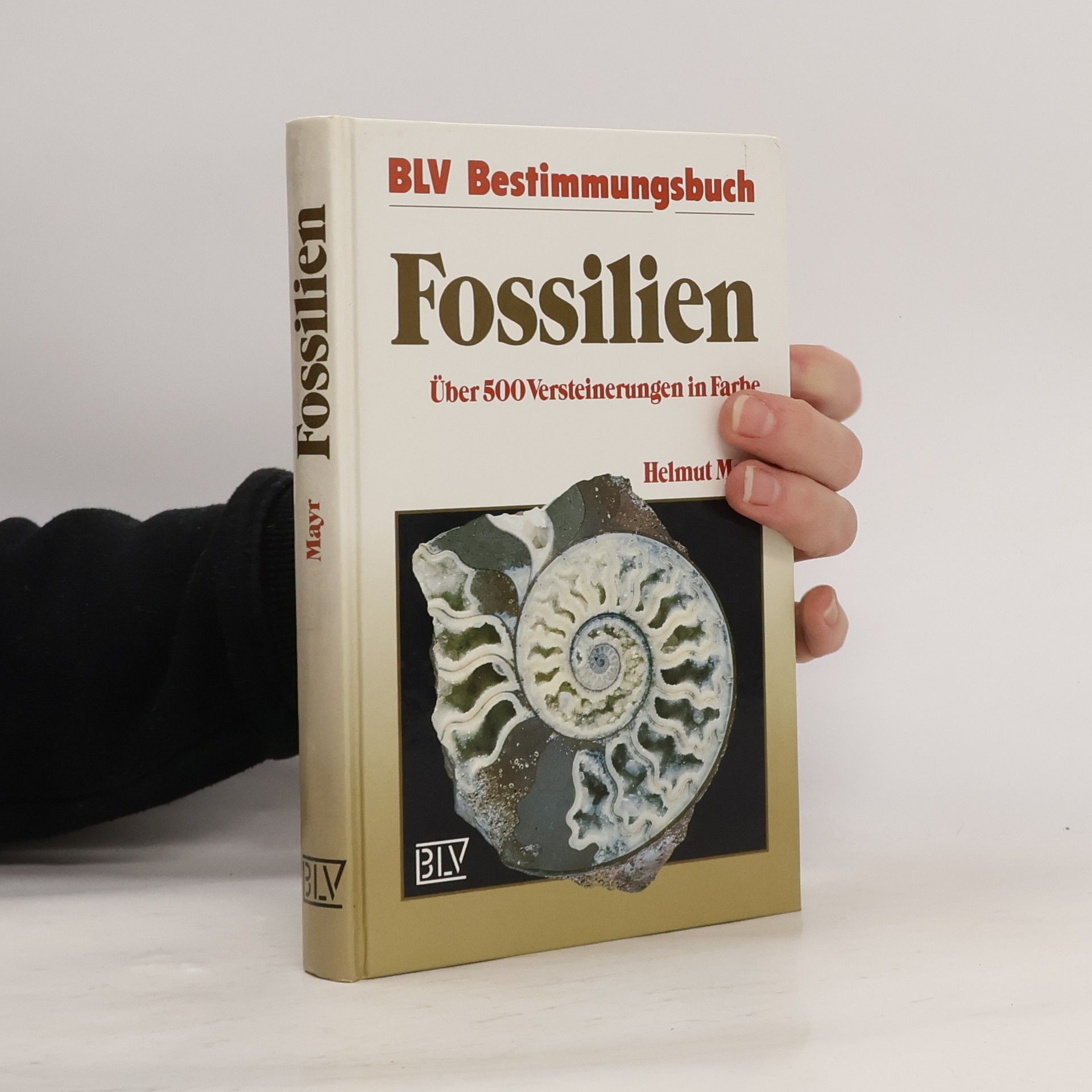 Helmut Mayr Fossilien