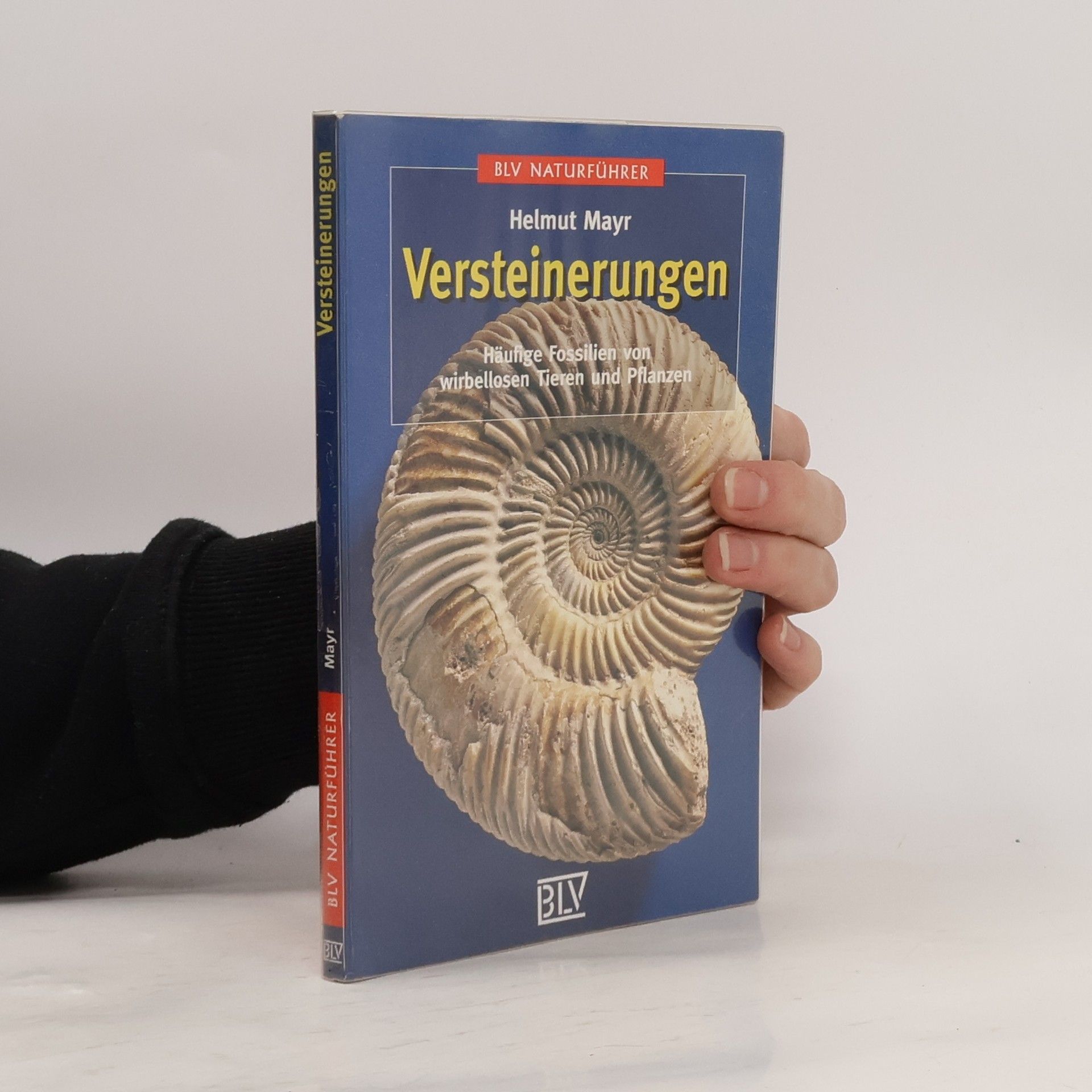 Versteinerungen