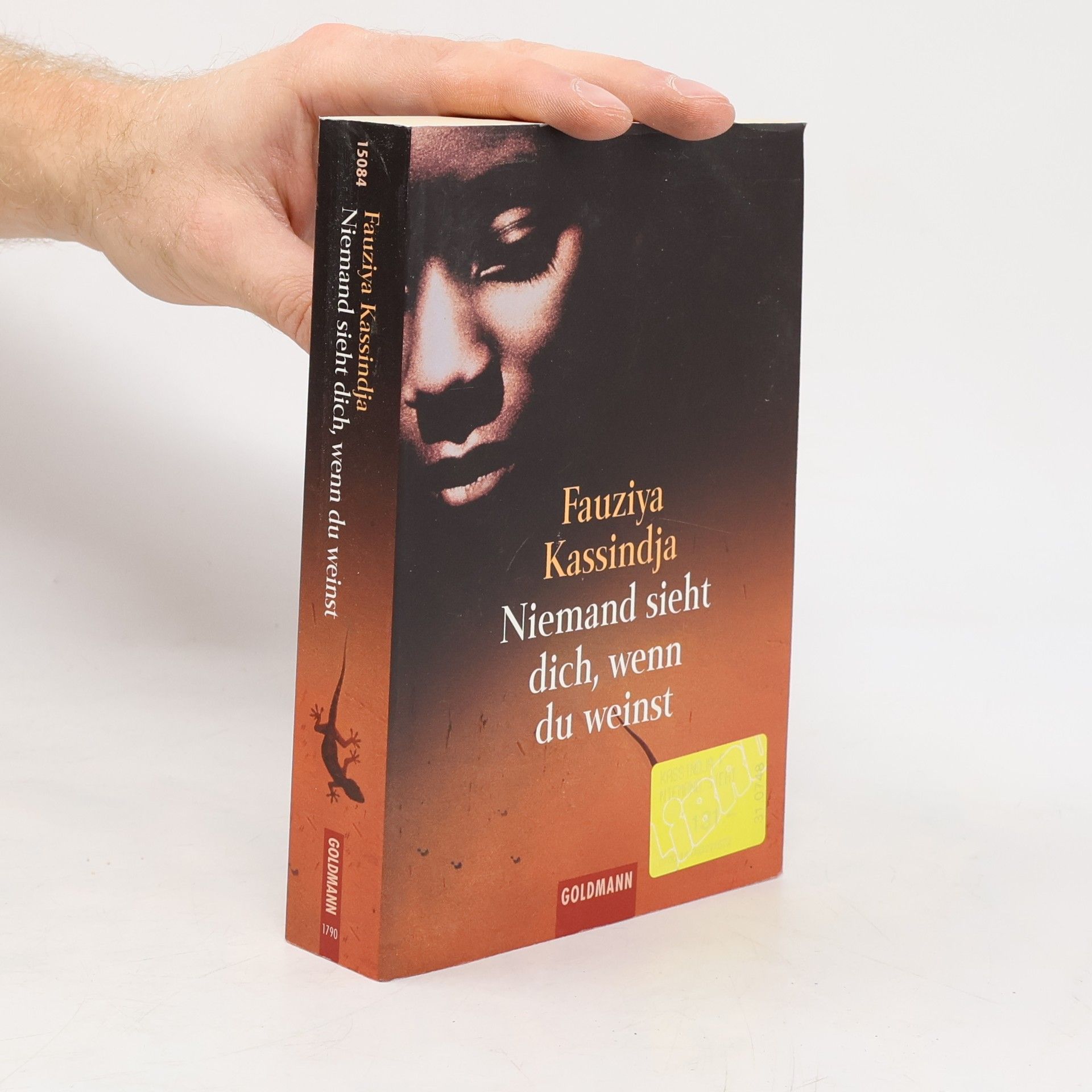 Niemand sieht dich, wenn du weinst