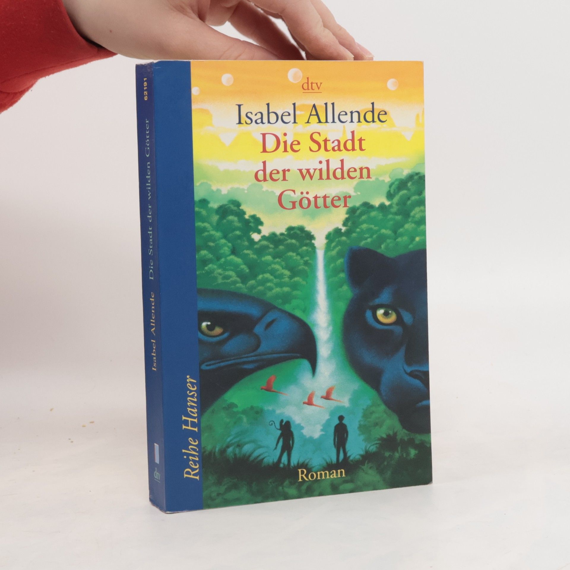 Isabel Allende Die Stadt der wilden Götter