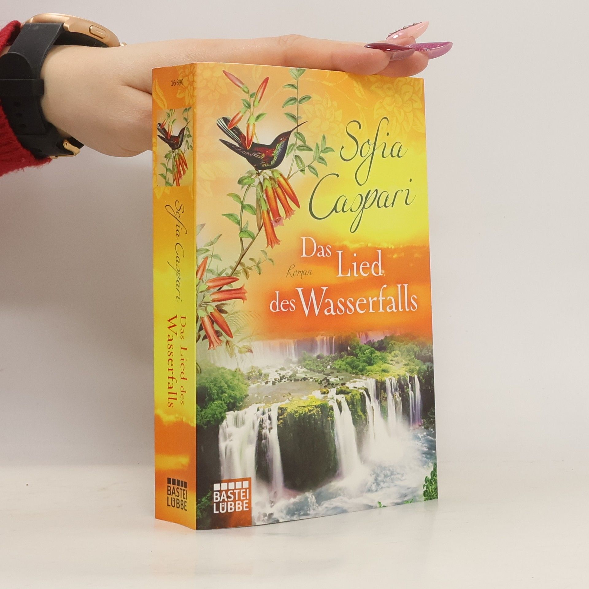 Sofia Caspari Das Lied des Wasserfalls