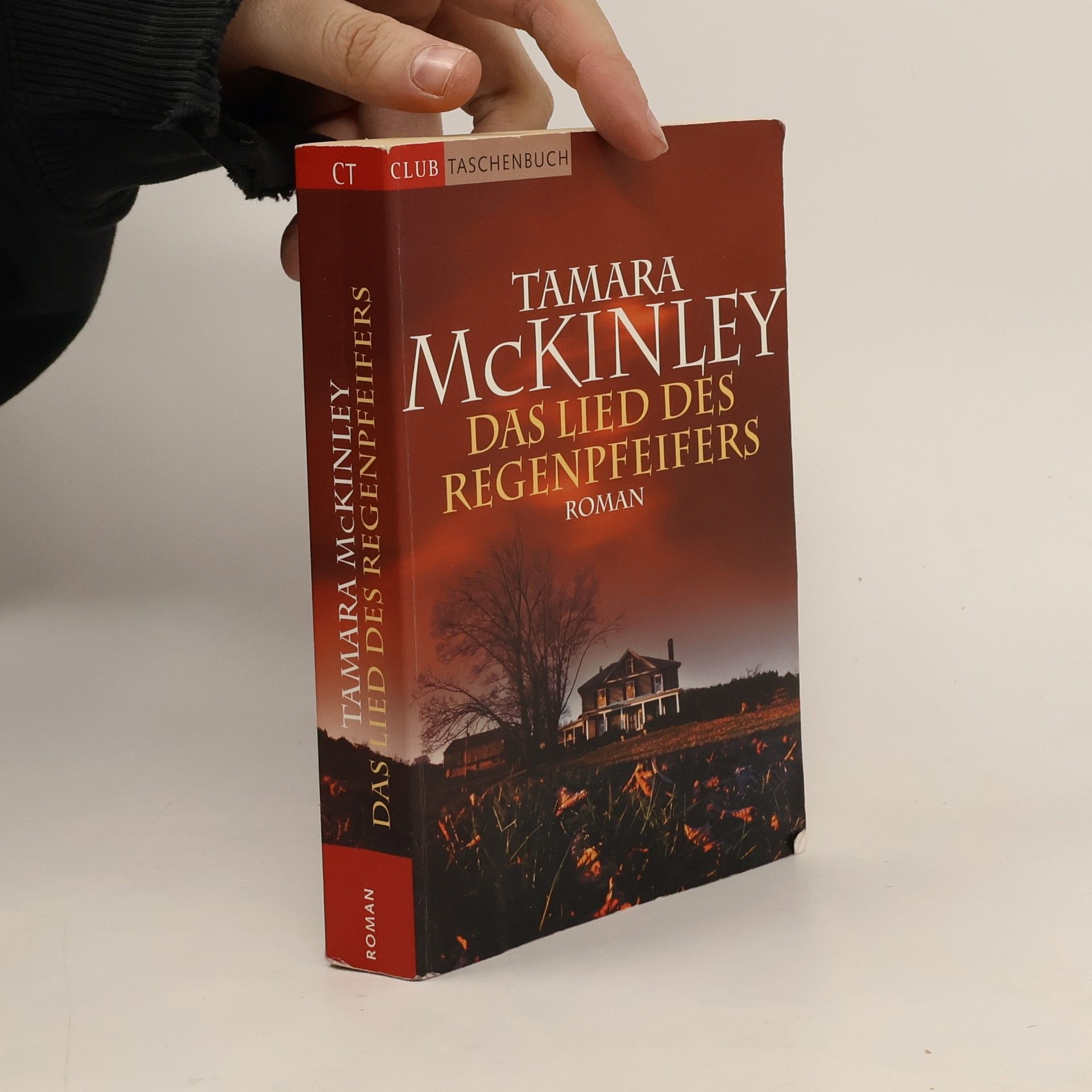 Tamara McKinley Das Lied des Regenpfeifers