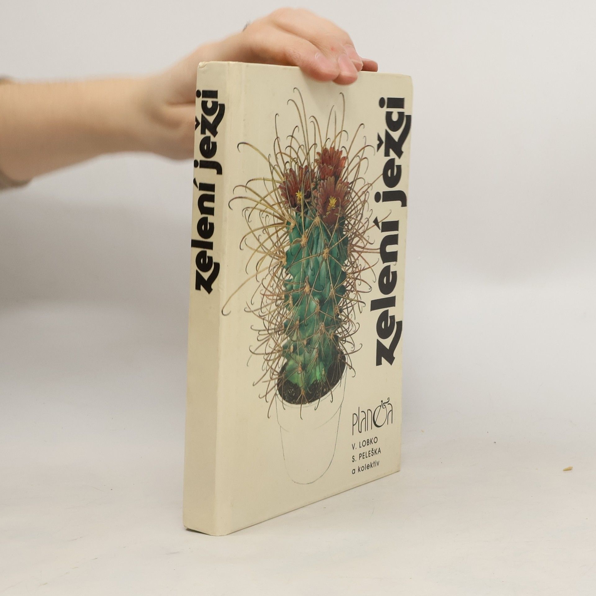 Valerij Dmitrijevič Lobko Zelení ježci