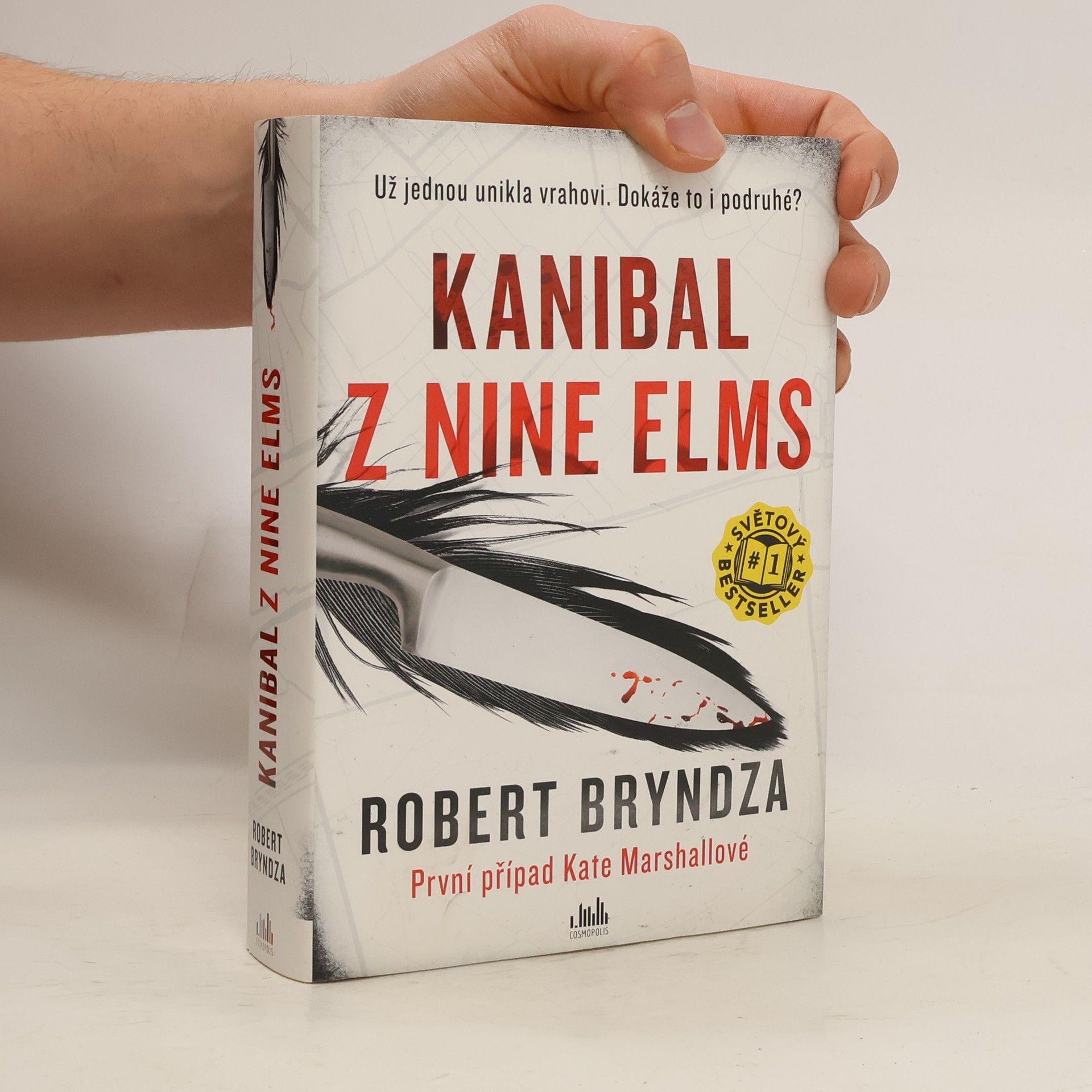 Robert Bryndza Kanibal z Nine Elms