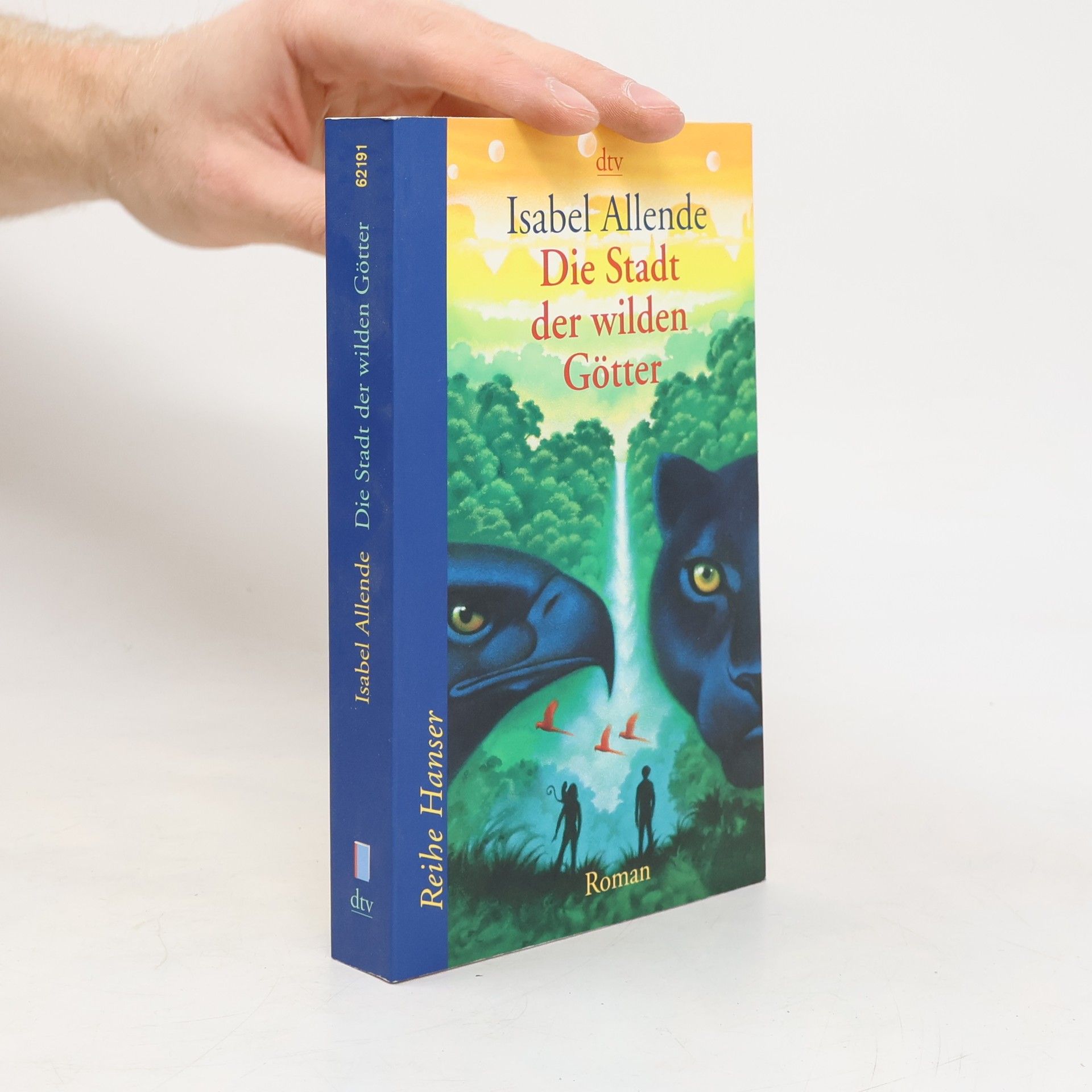 Isabel Allende Die Stadt der wilden Götter