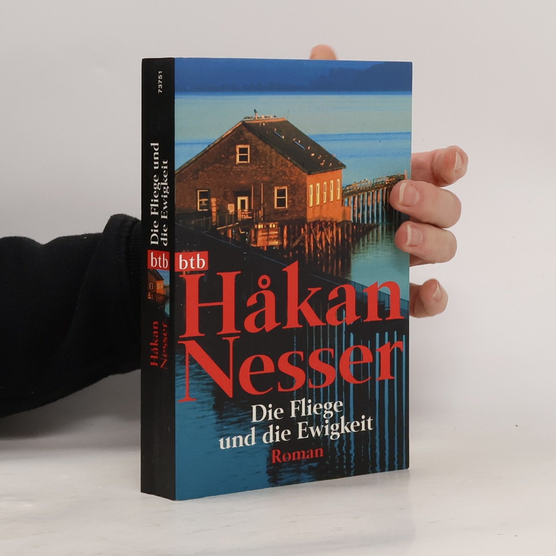 Håkan Nesser Die Fliege und die Ewigkeit