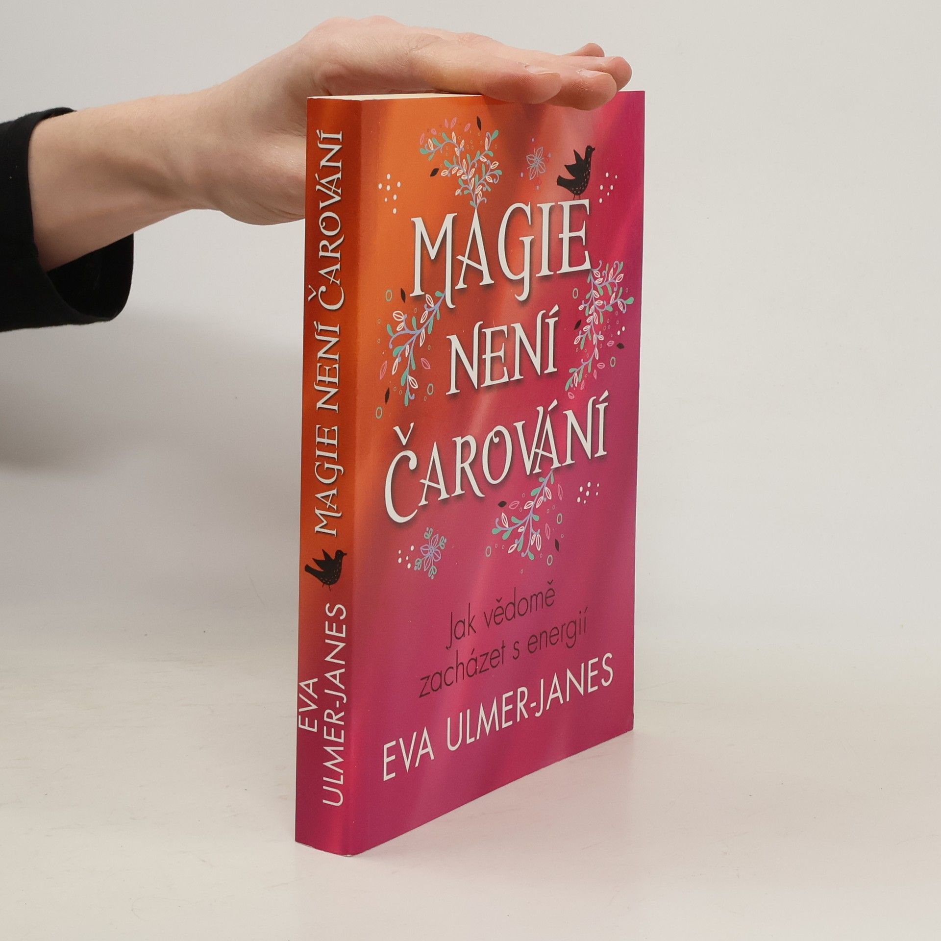Eva Ulmer Janes Magie není čarování