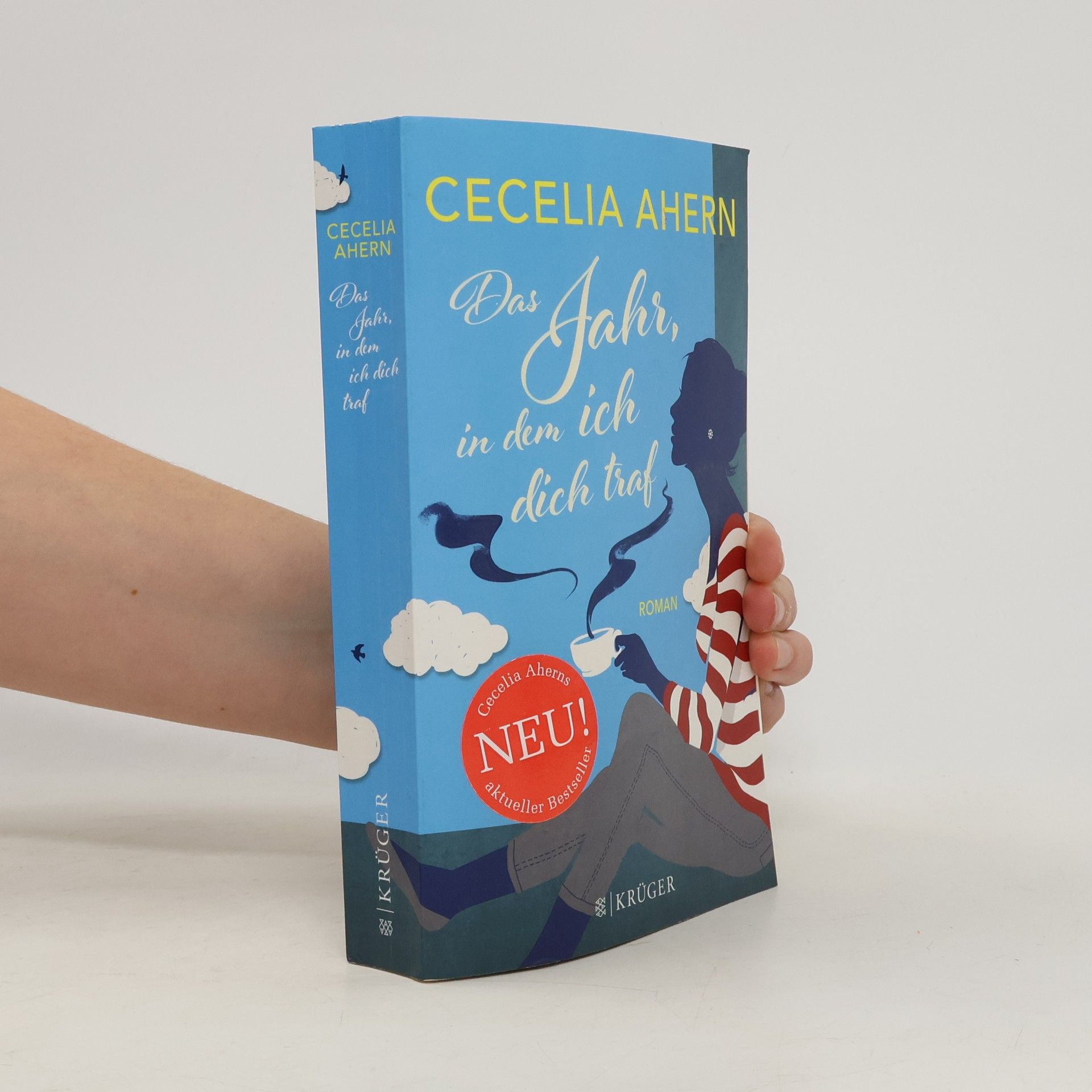 Cecelia Ahern Das Jahr, in dem ich dich traf
