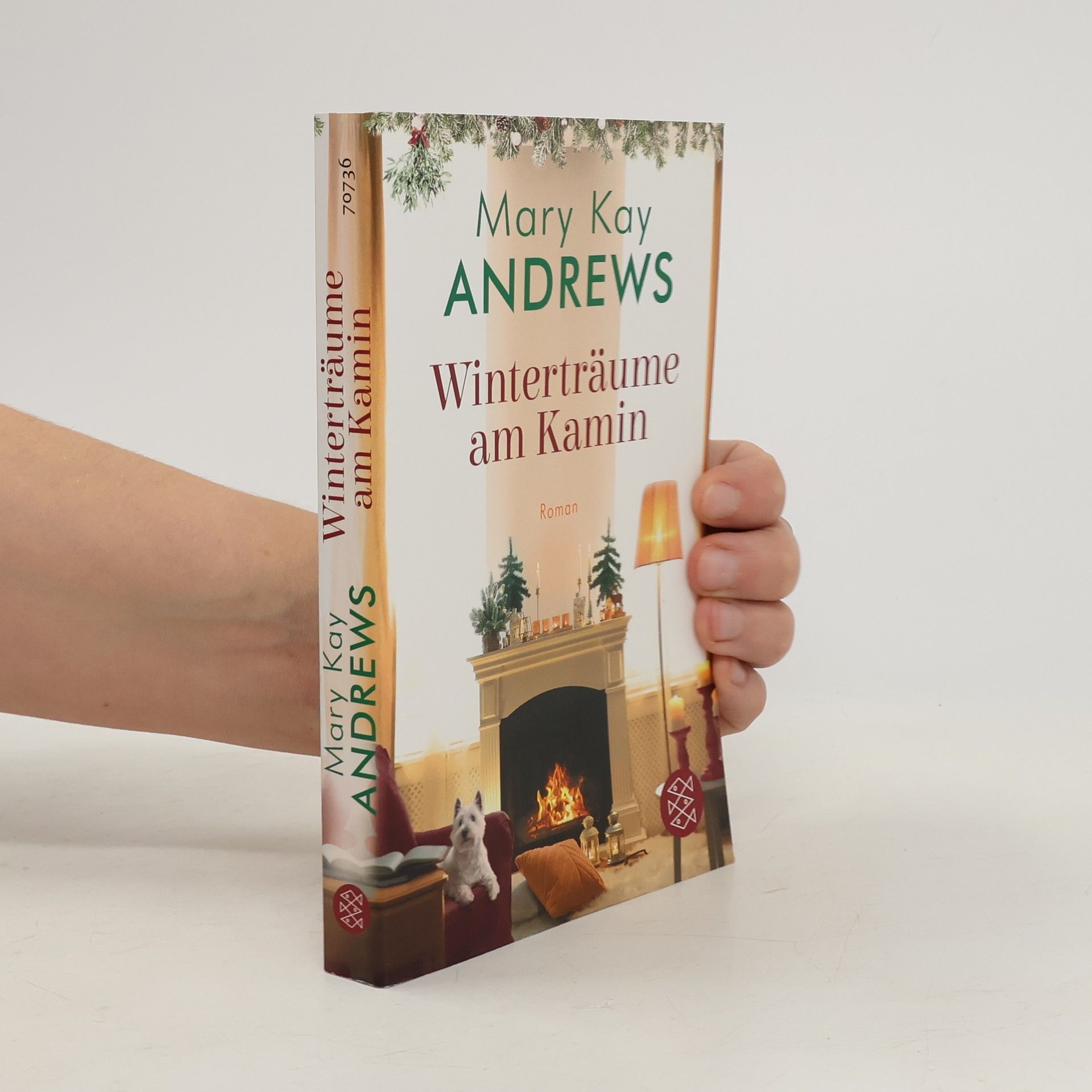 Mary Kay Andrews Winterträume am Kamin