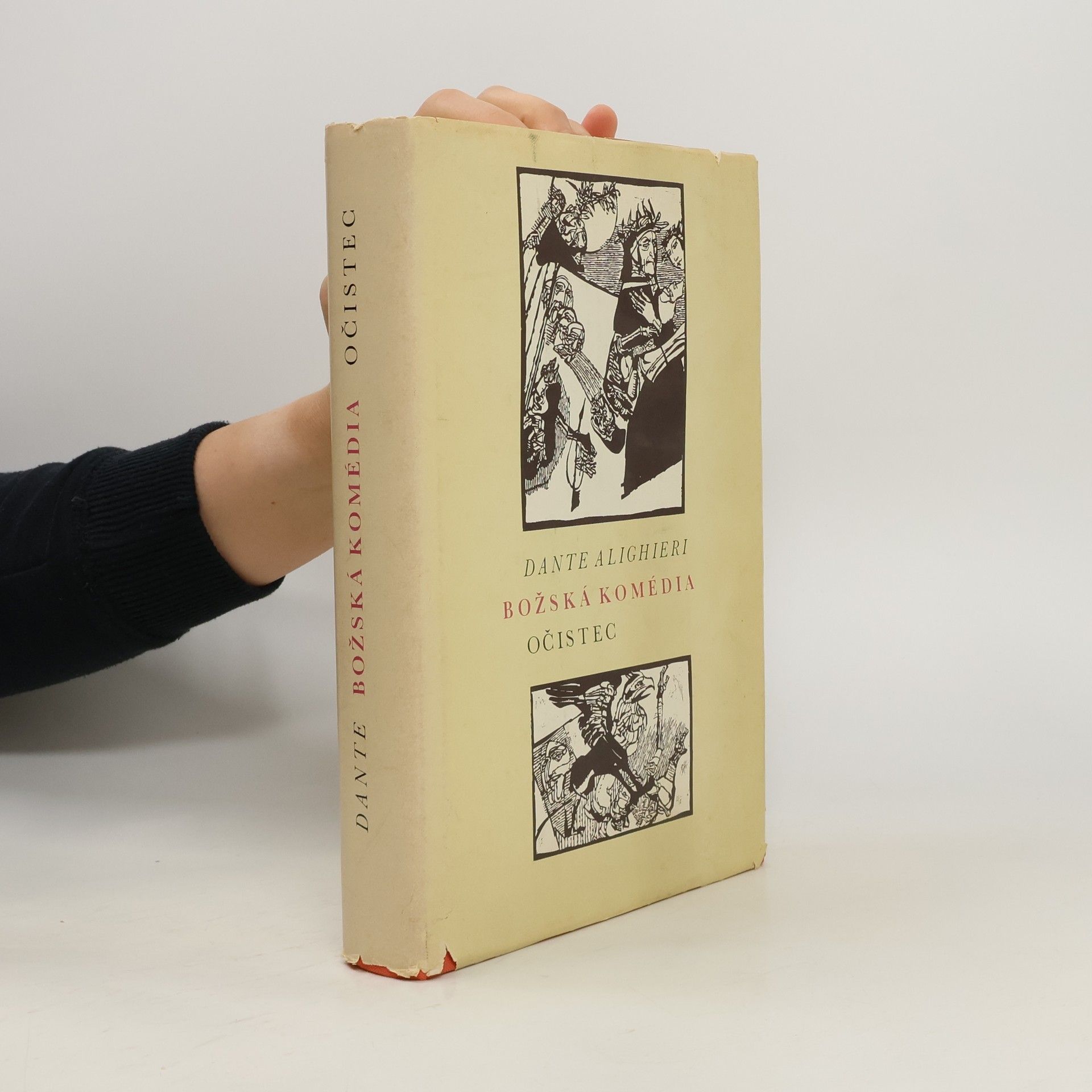 Dante Alighieri Božská komédia. Očistec