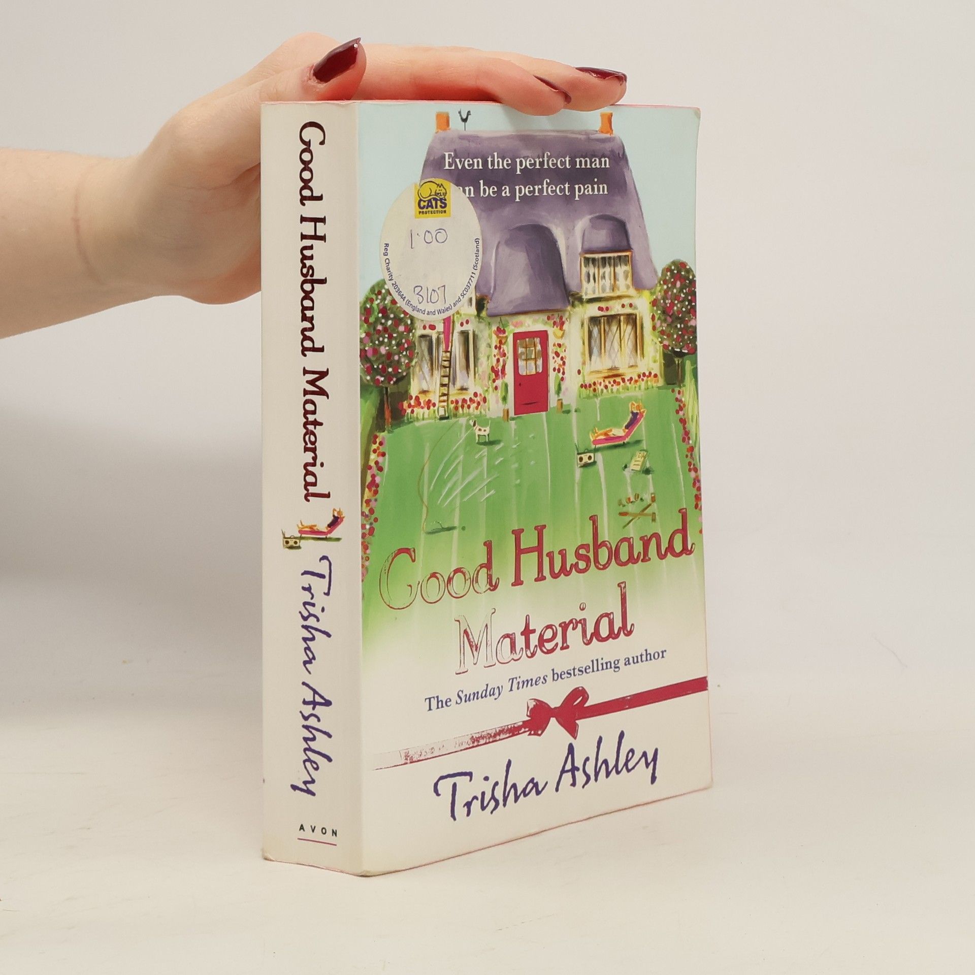 Trisha Ashley Good Husband Material