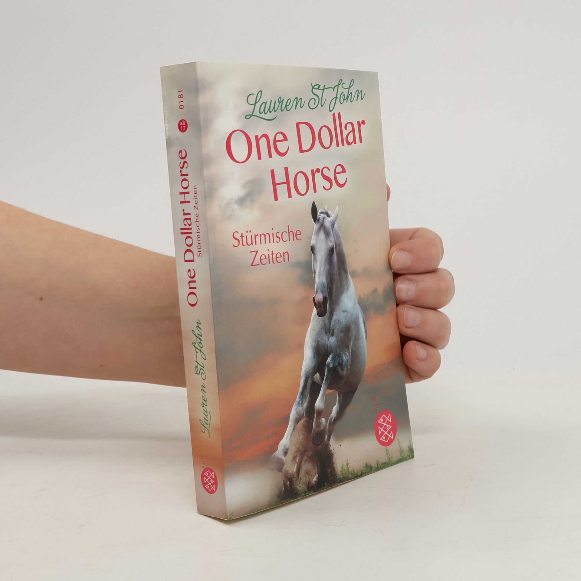 Lauren St. John Stürmische Zeiten