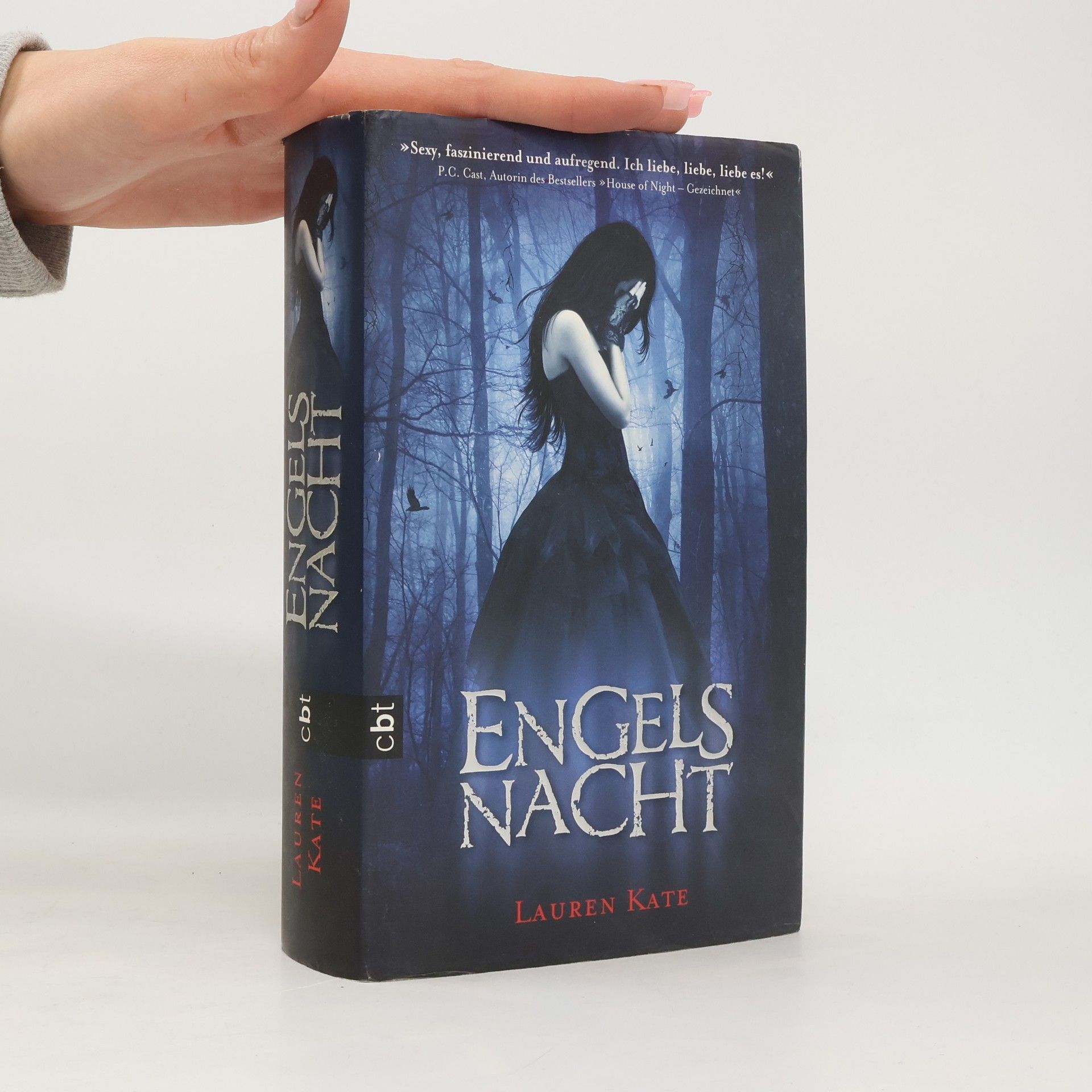 Lauren Kate Engels Nacht