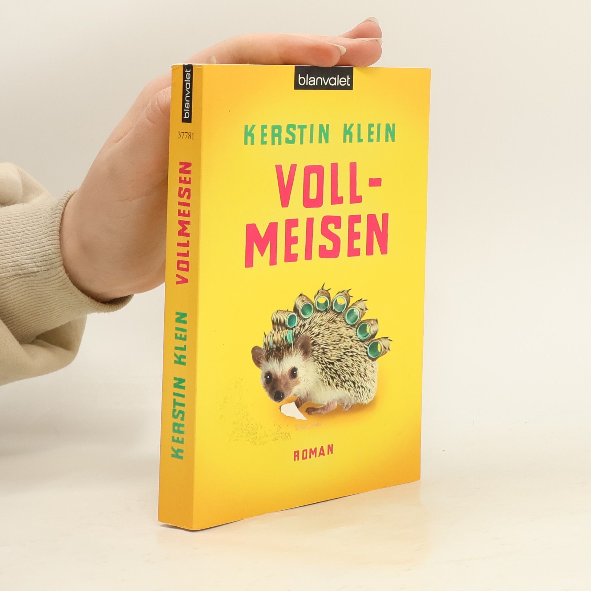 Kerstin Klein Vollmeisen