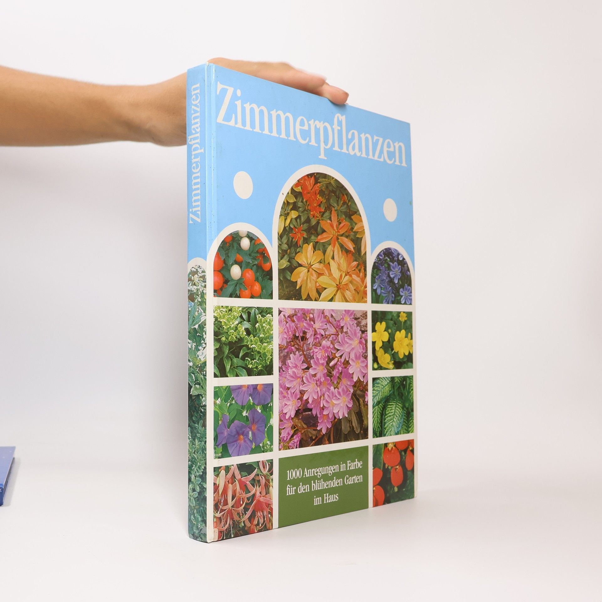 Autorenkollektiv Zimmerpflanzen